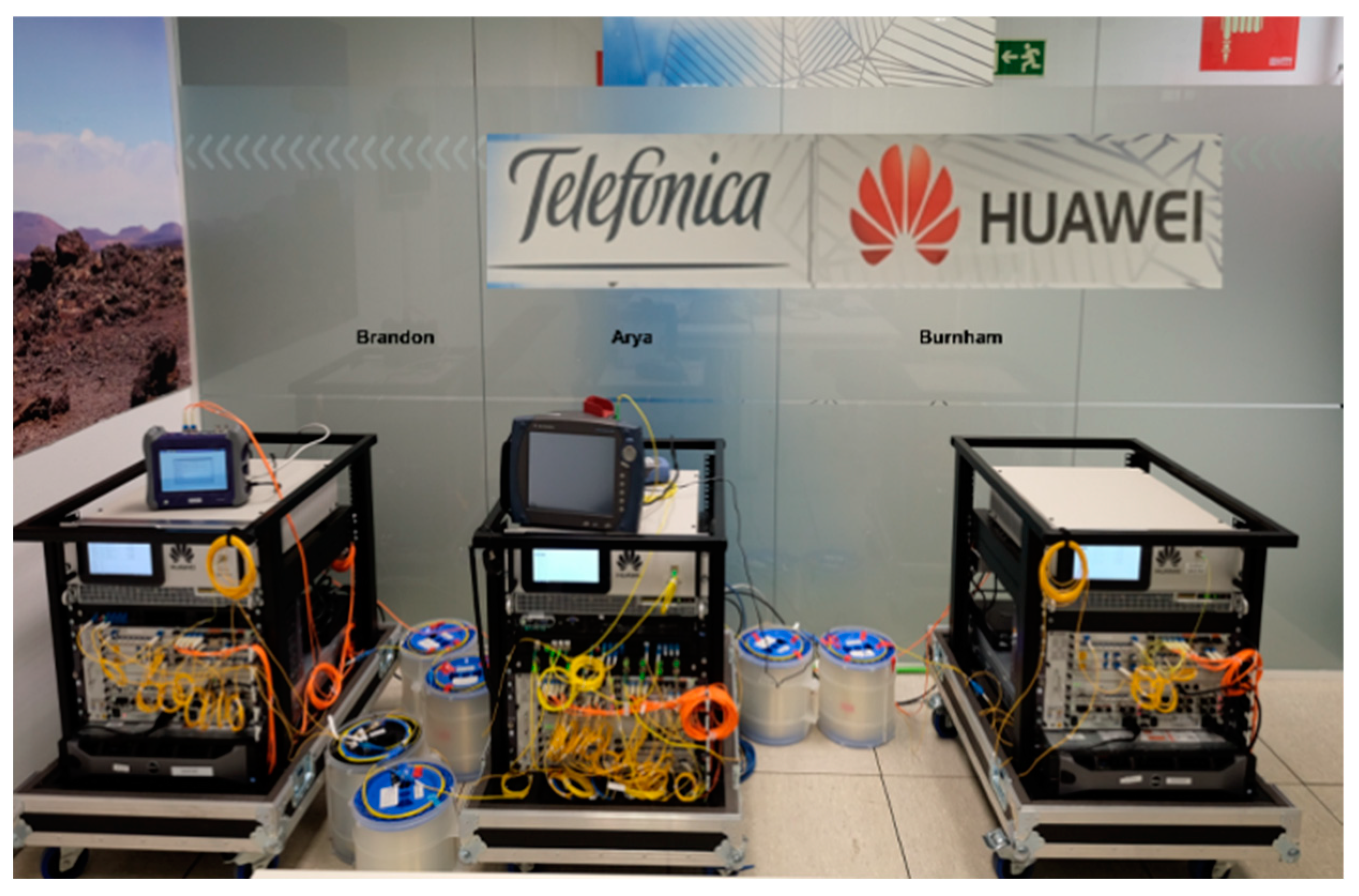 Quantumrep 02 00032 g002