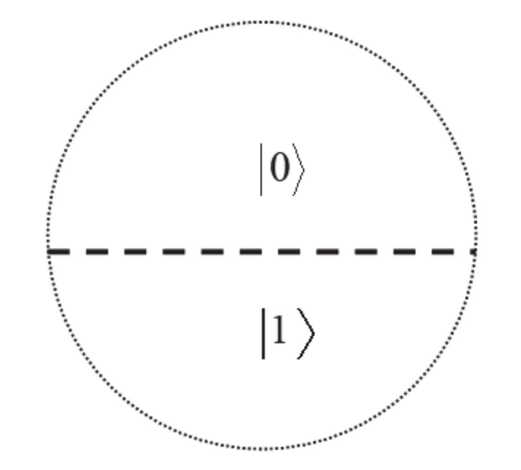 Quantumrep 02 00033 g004