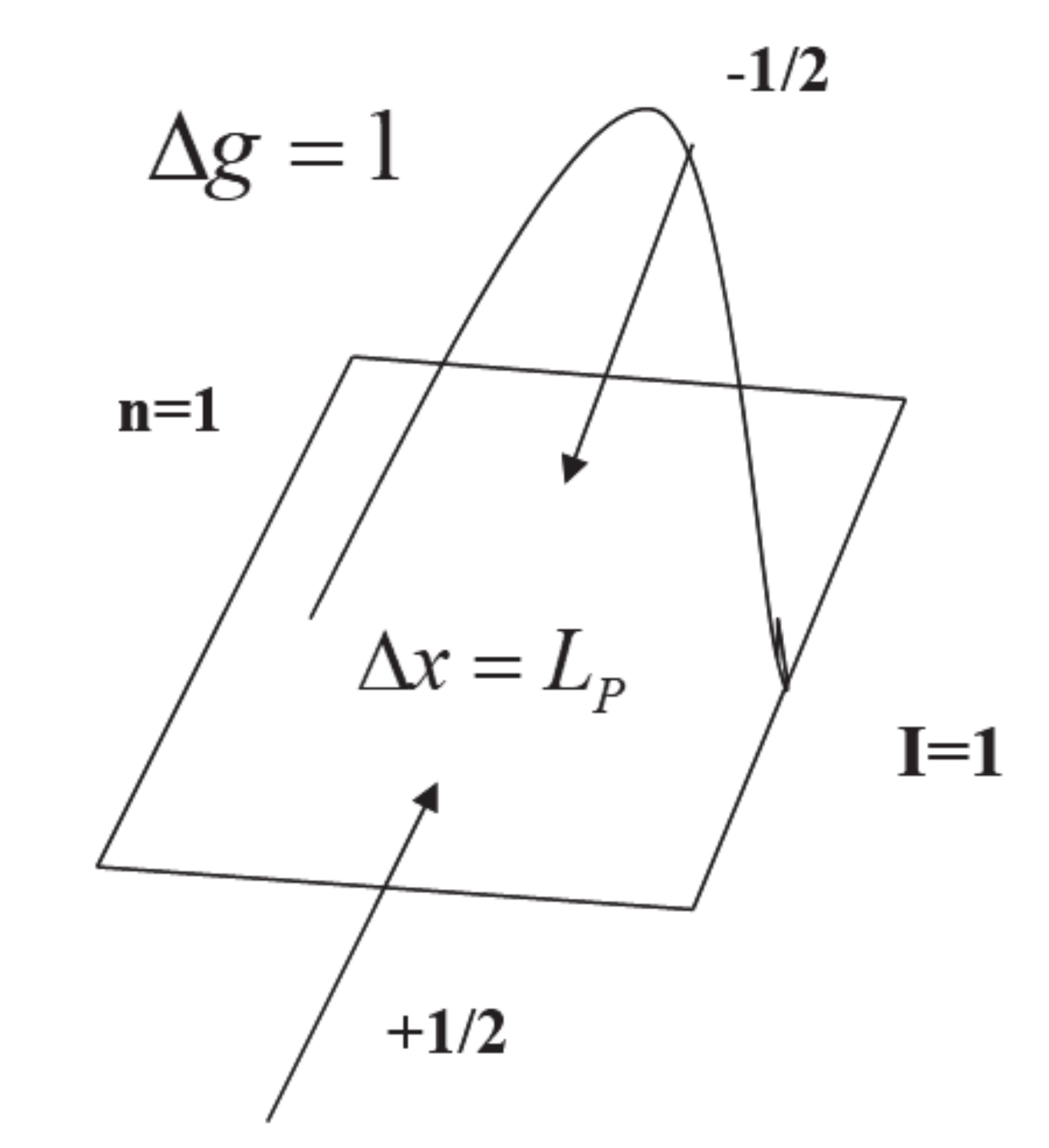Quantumrep 02 00033 g013