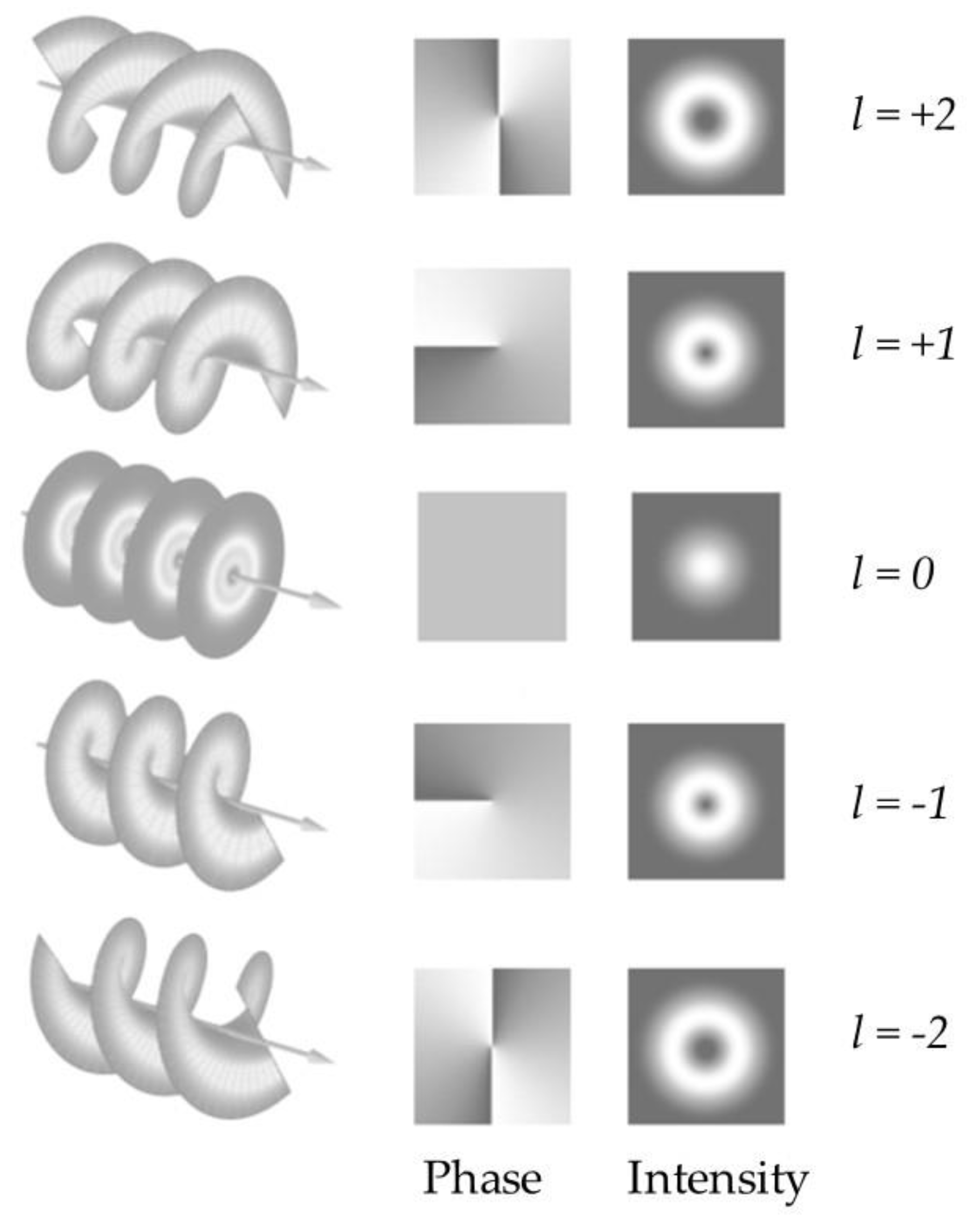 Quantumrep 02 00040 g003