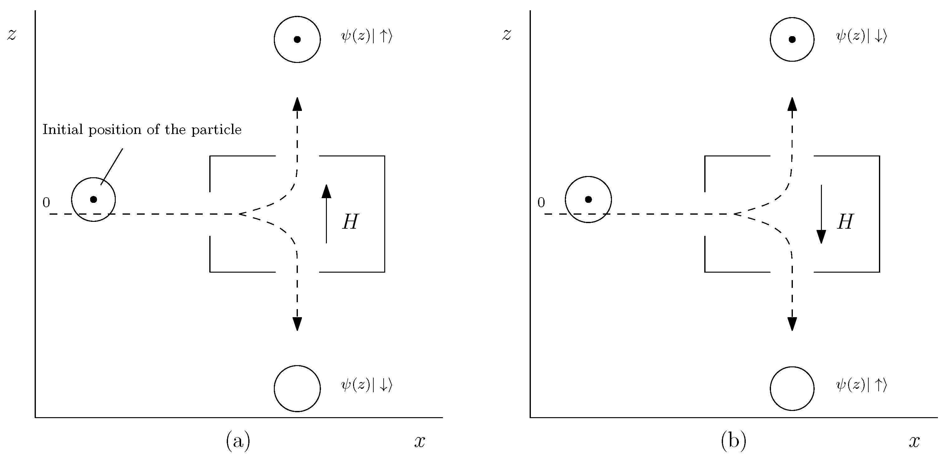 Quantumrep 02 00042 g004