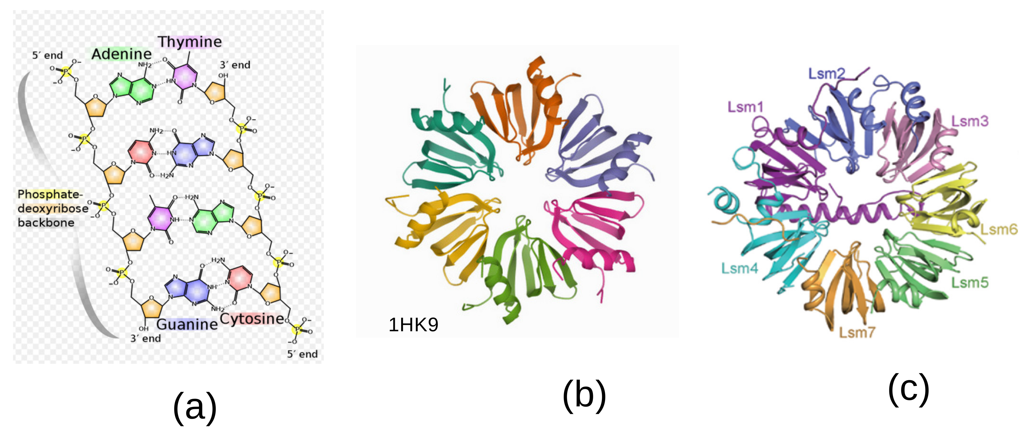 Quantumrep 03 00005 g001 Quantumrep 03 00005 g001