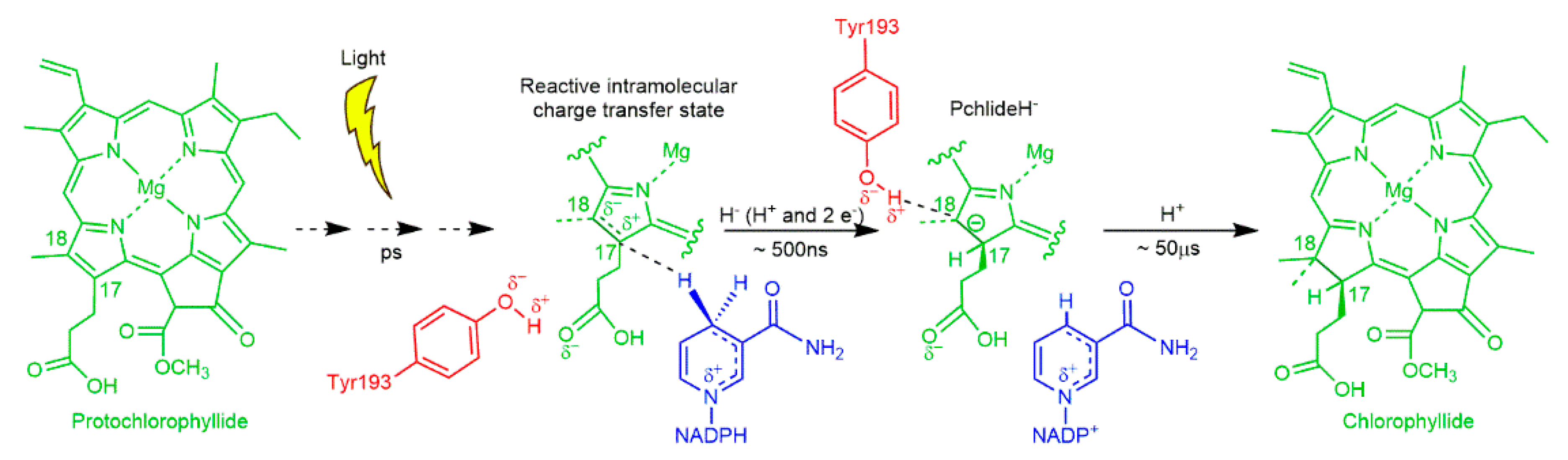 Quantumrep 03 00006 g002
