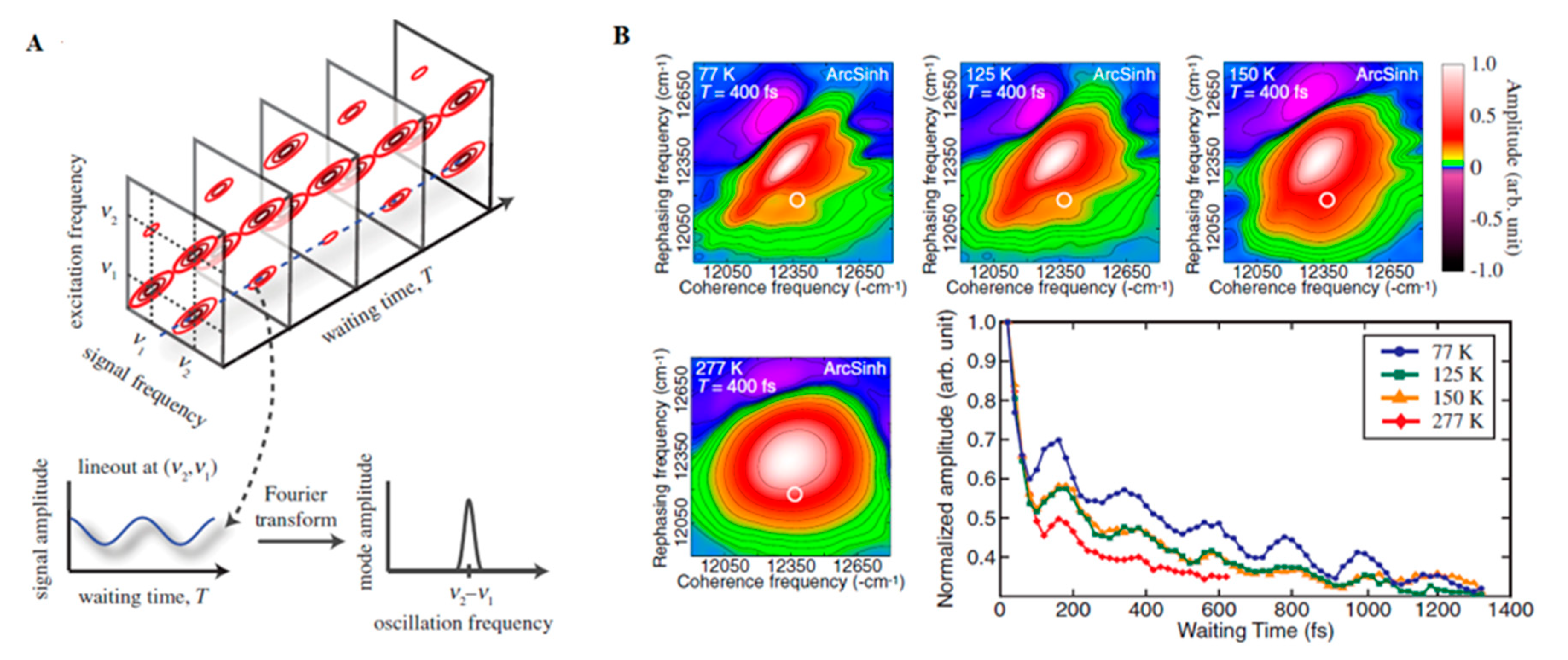 Quantumrep 03 00006 g003