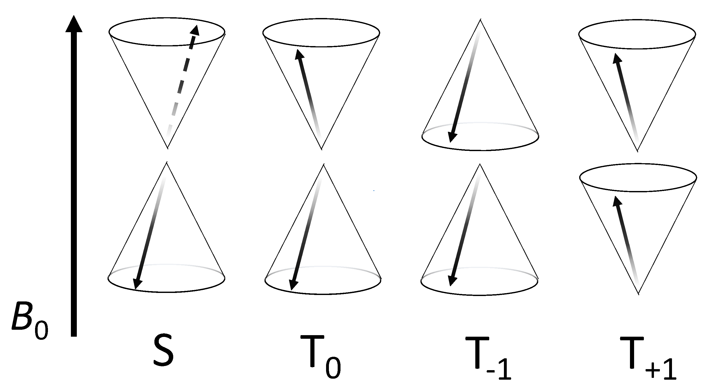 Quantumrep 03 00006 g005