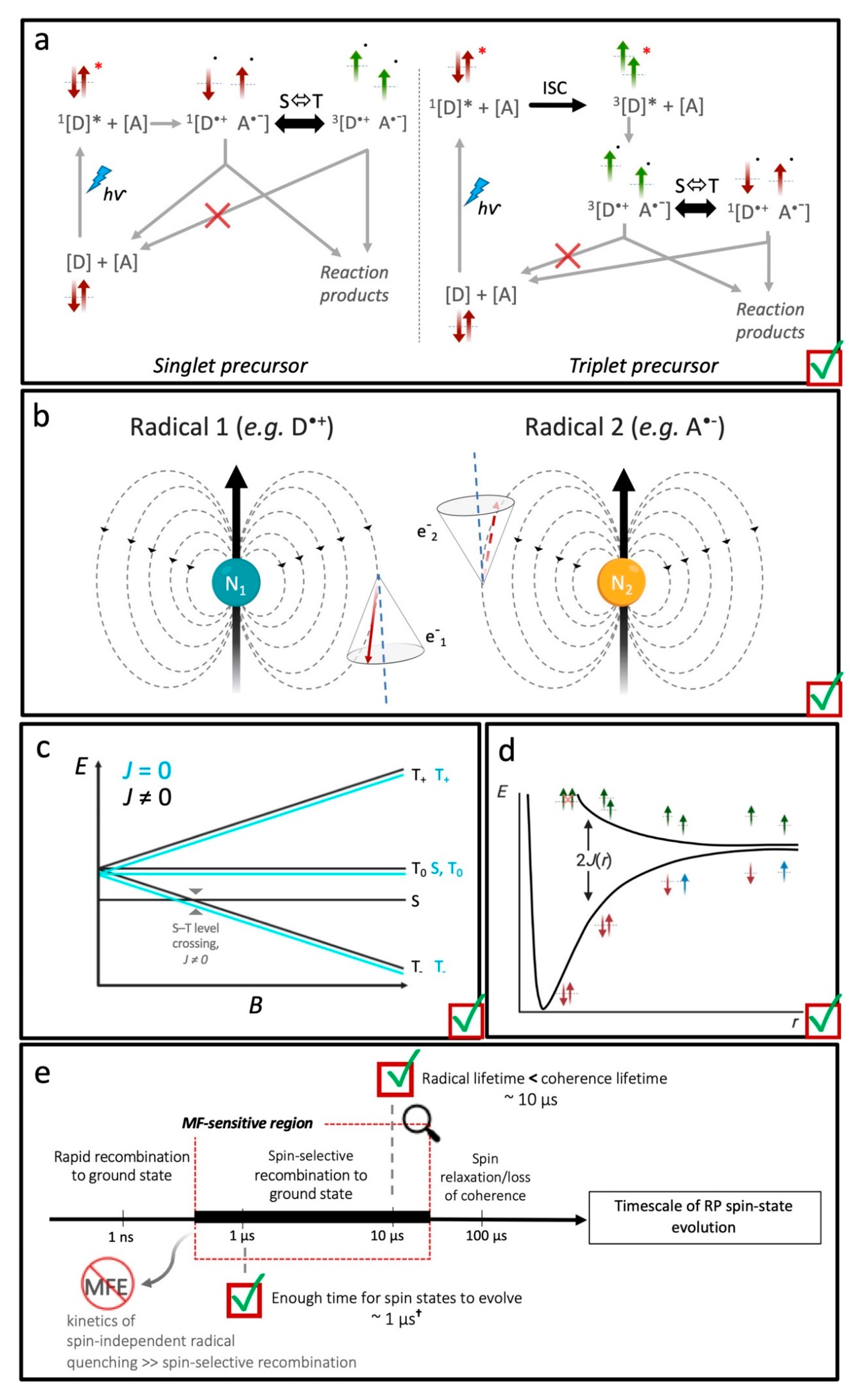 Quantumrep 03 00006 g006