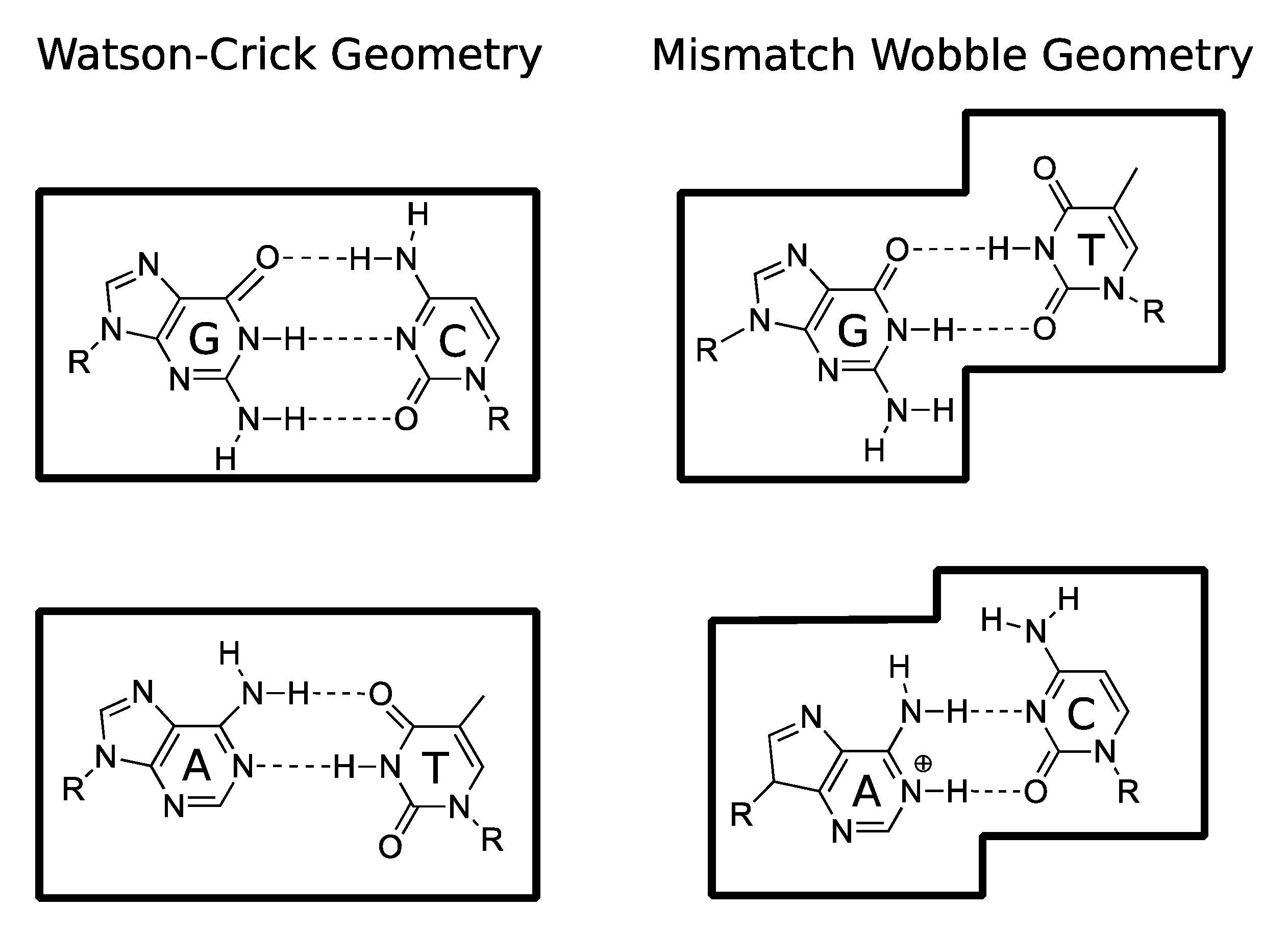 Quantumrep 03 00006 g007
