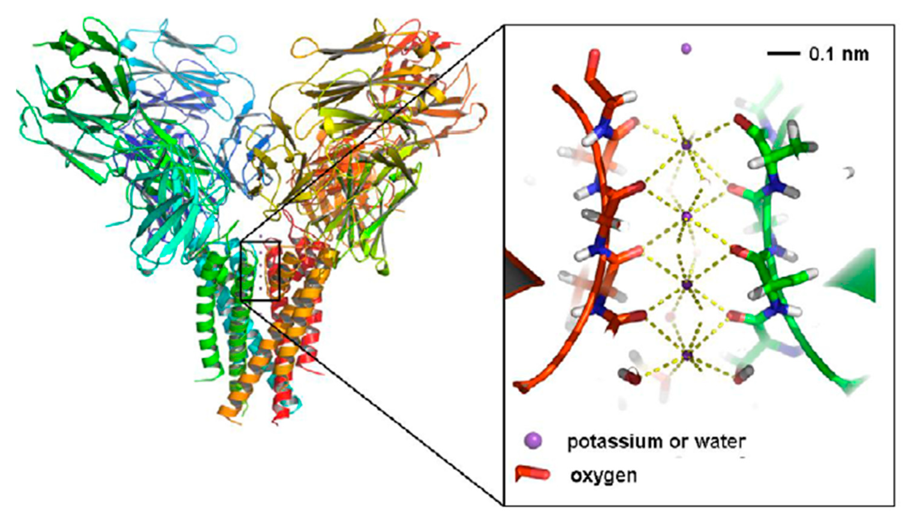 Quantumrep 03 00006 g012