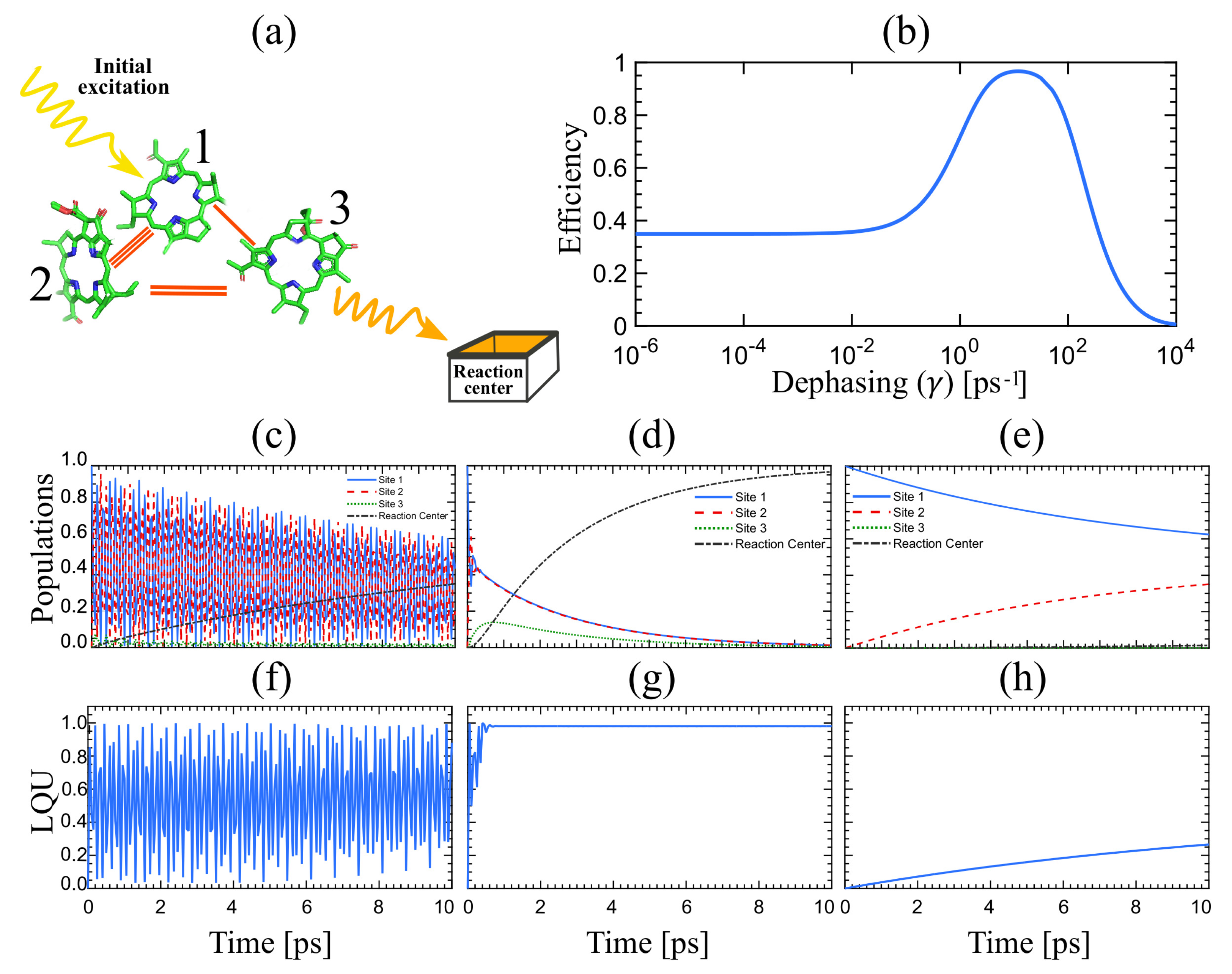 Quantumrep 03 00016 g001