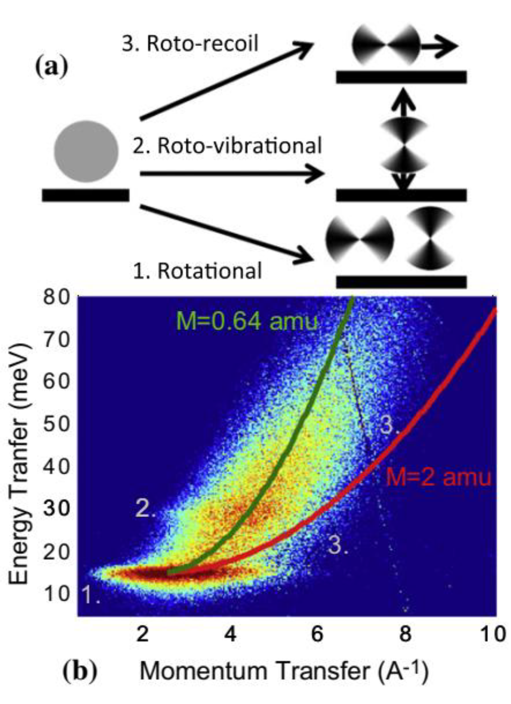 Quantumrep 03 00018 g004