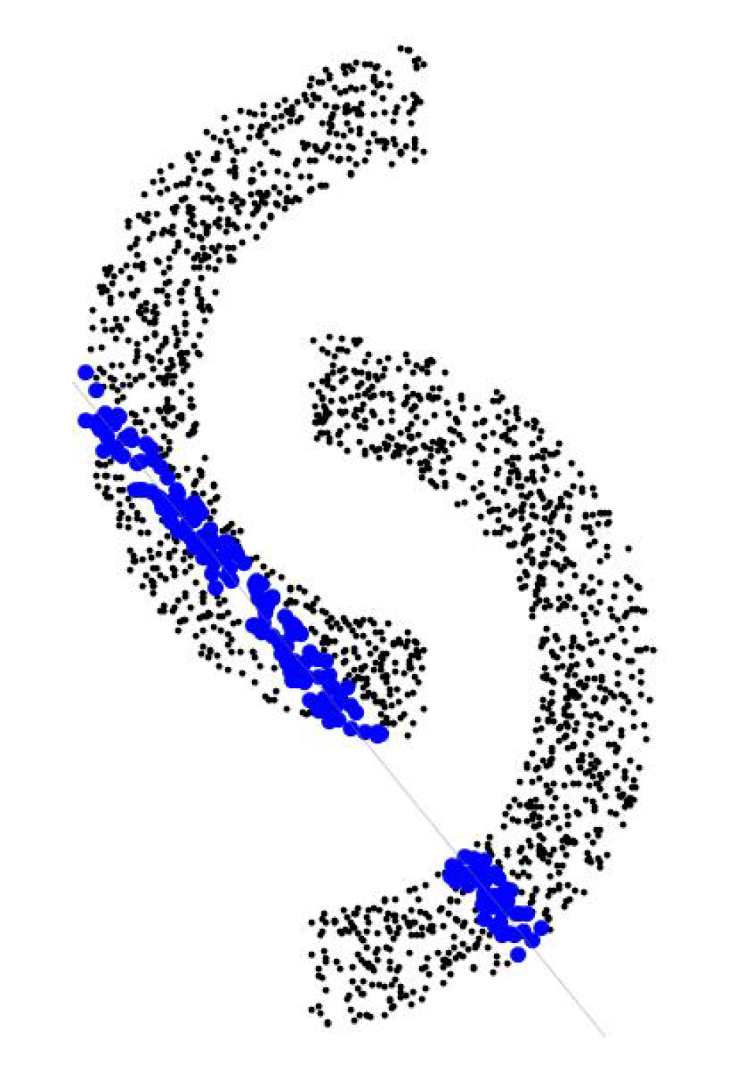 Quantumrep 03 00032 g006