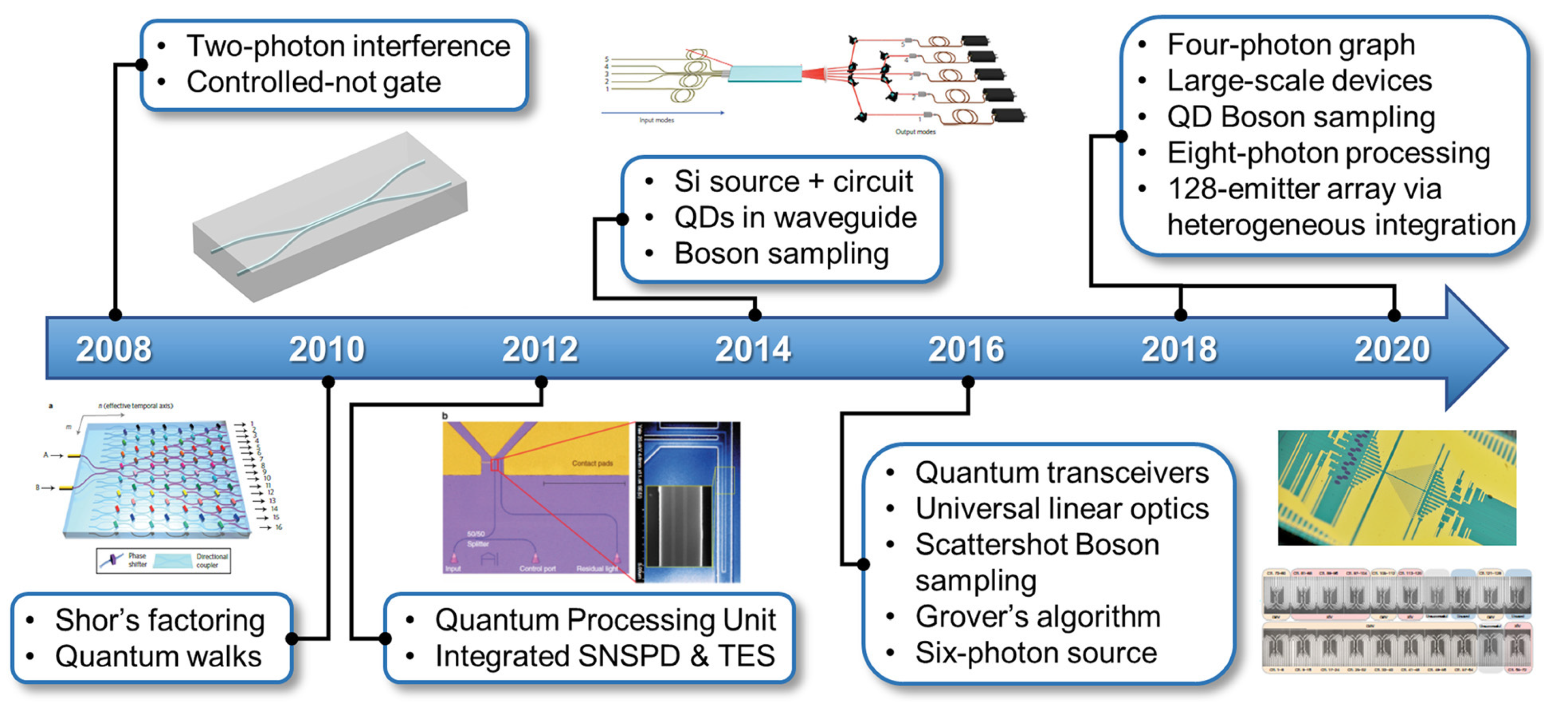 Quantumrep 03 00039 g004