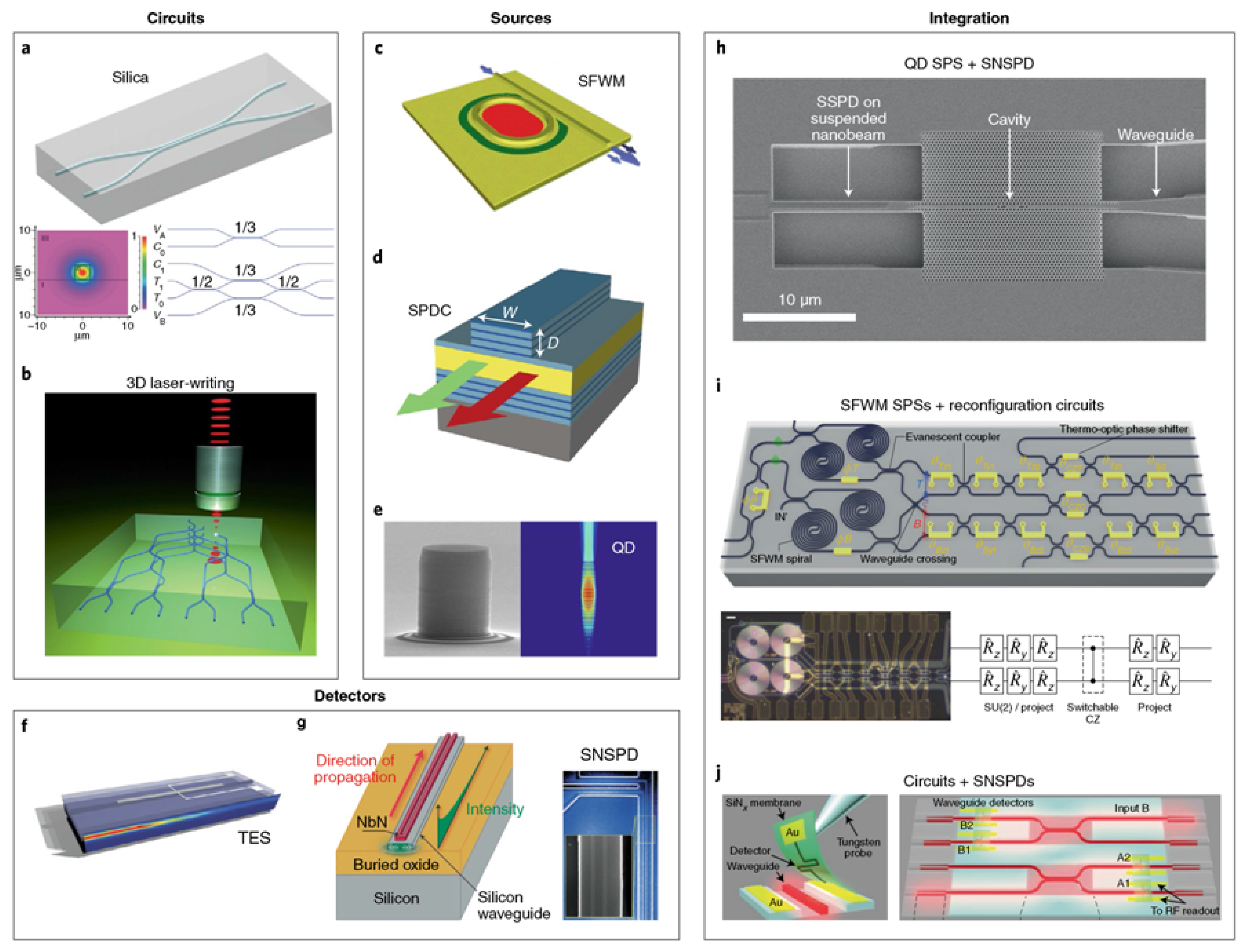 Quantumrep 03 00039 g006