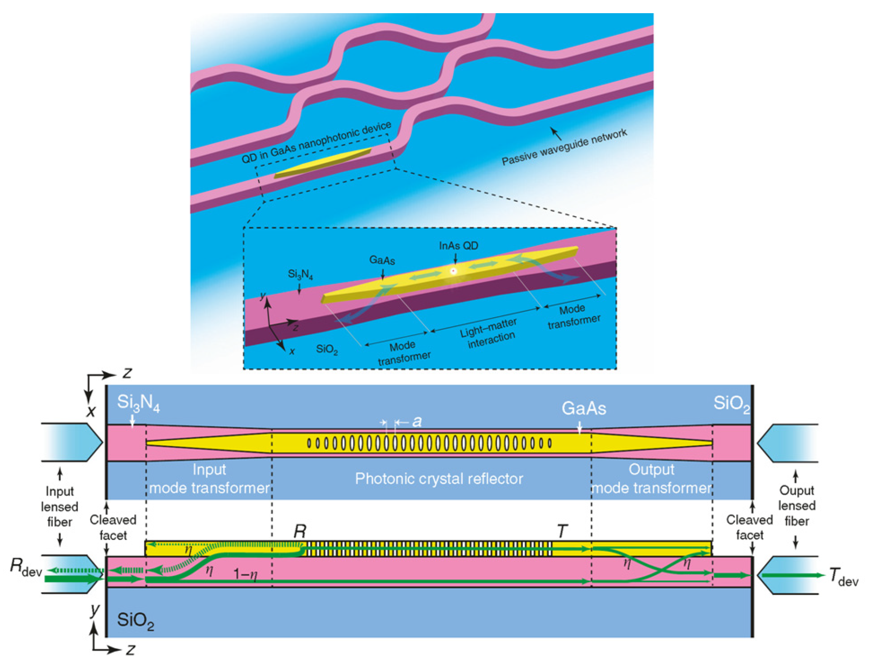 Quantumrep 03 00039 g007
