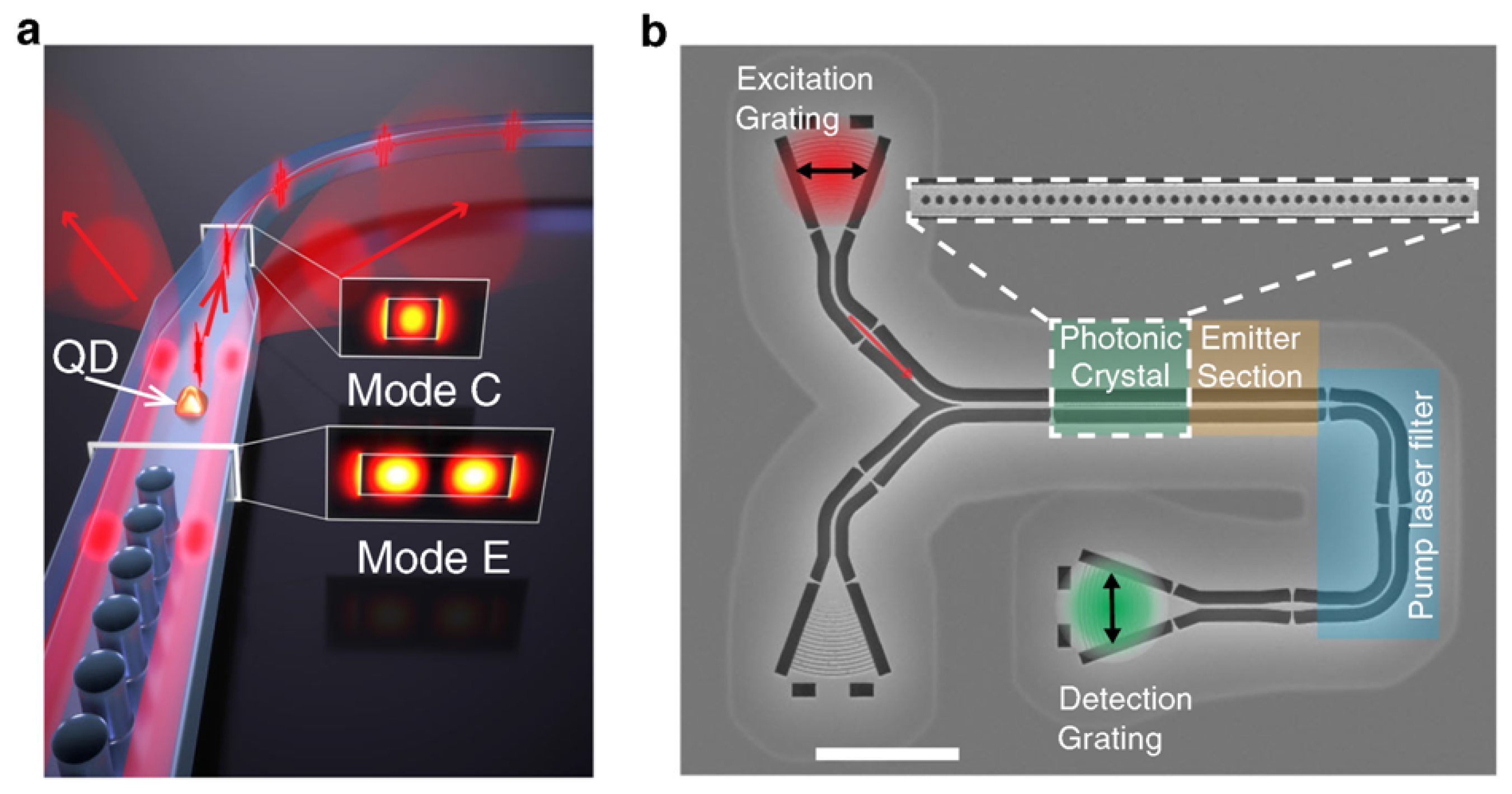 Quantumrep 03 00039 g008