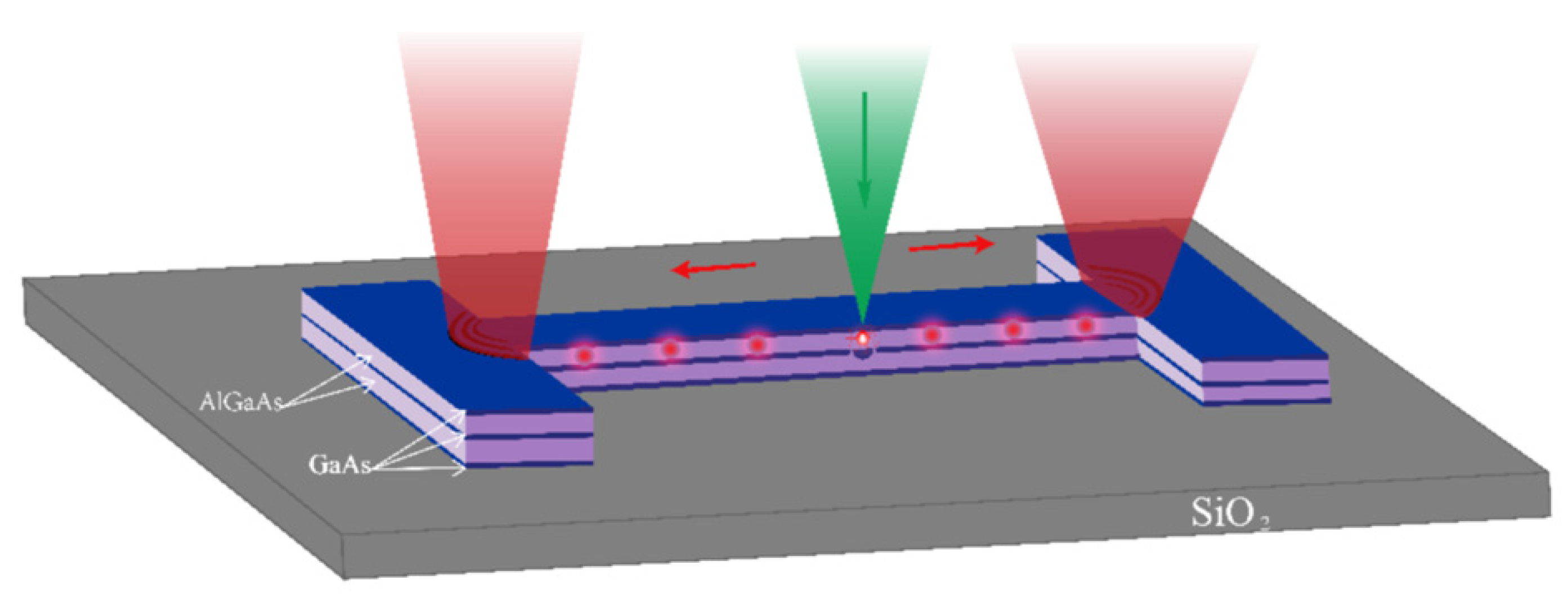 Quantumrep 03 00039 g009
