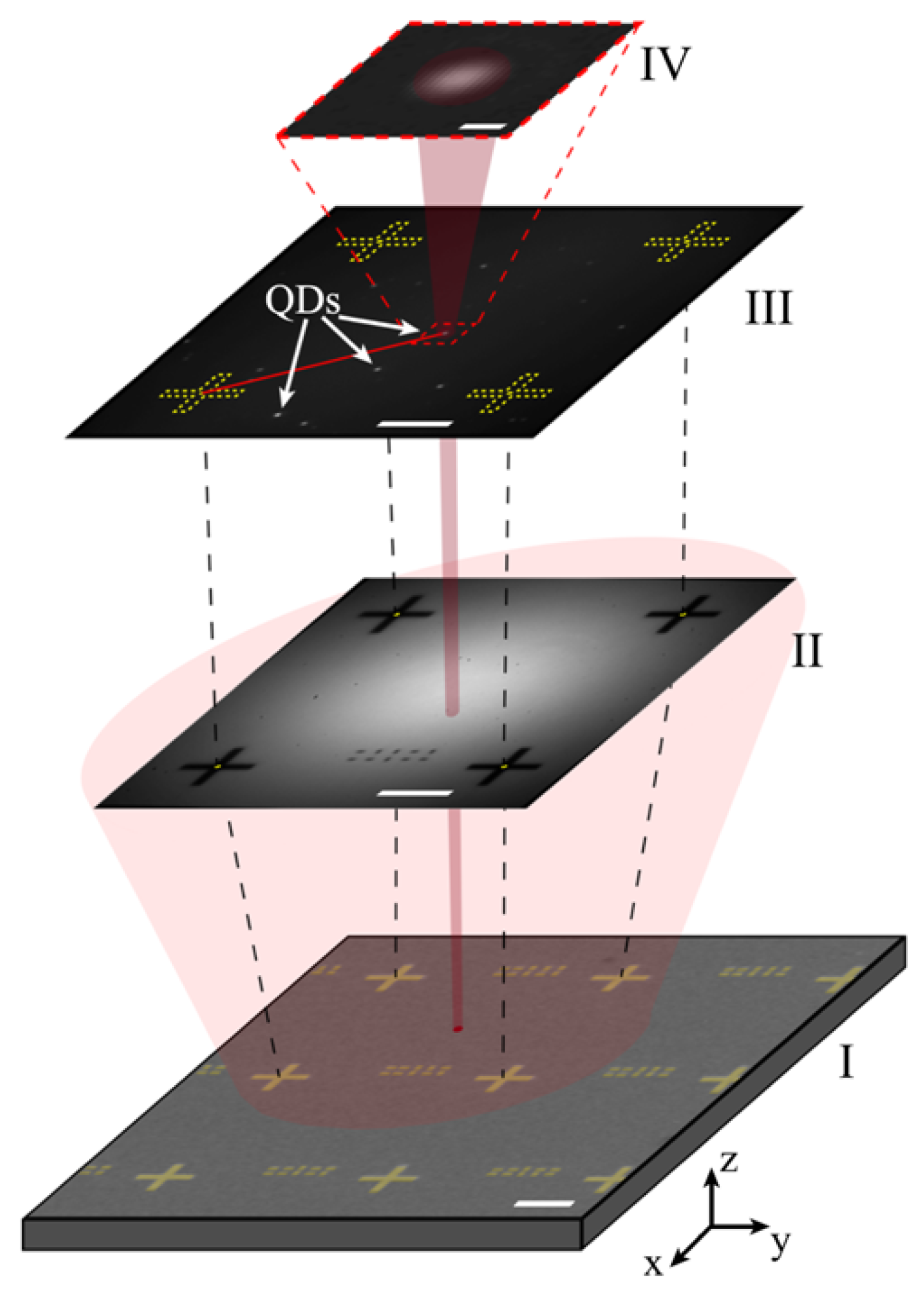 Quantumrep 03 00039 g010