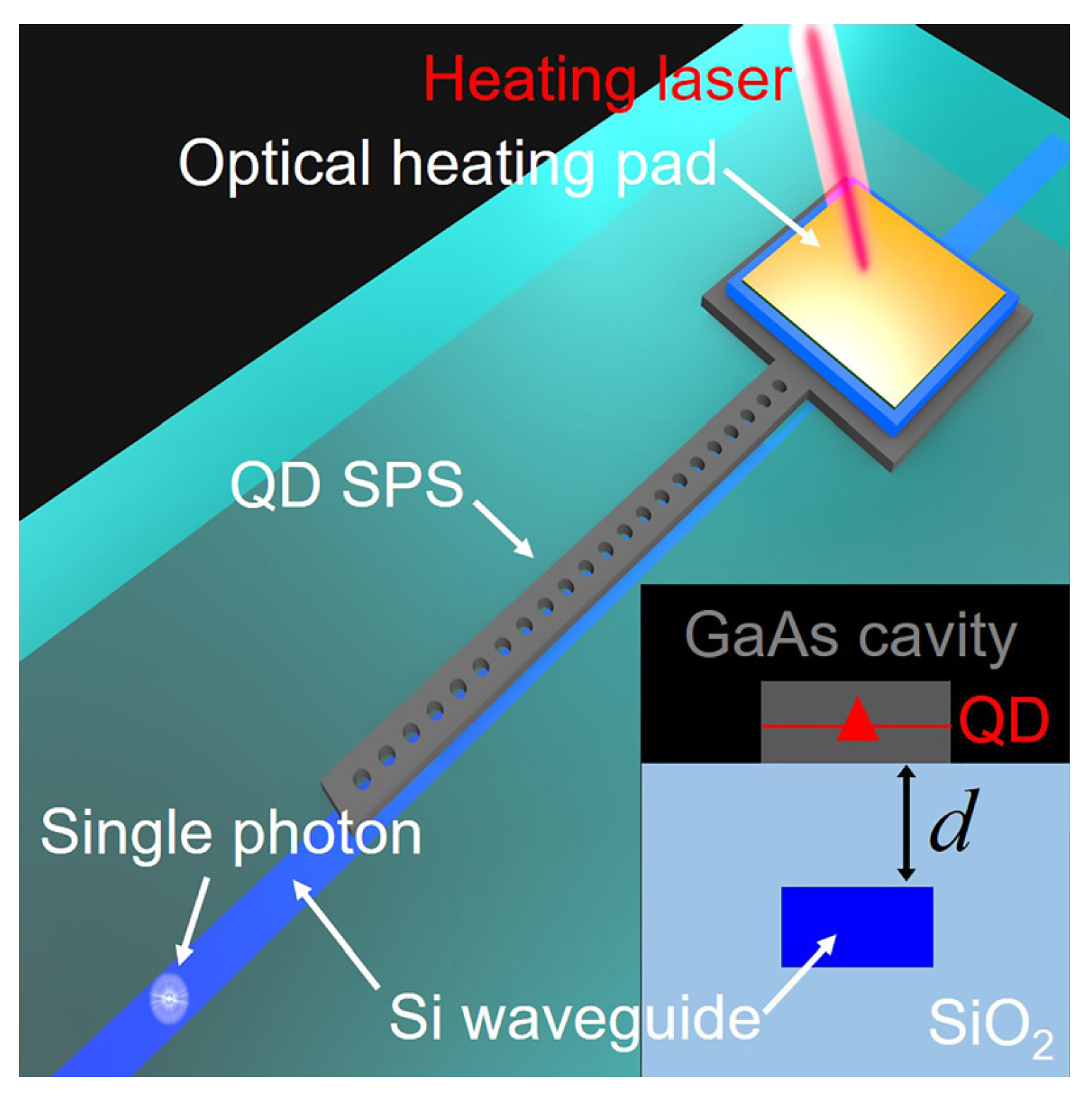 Quantumrep 03 00039 g011