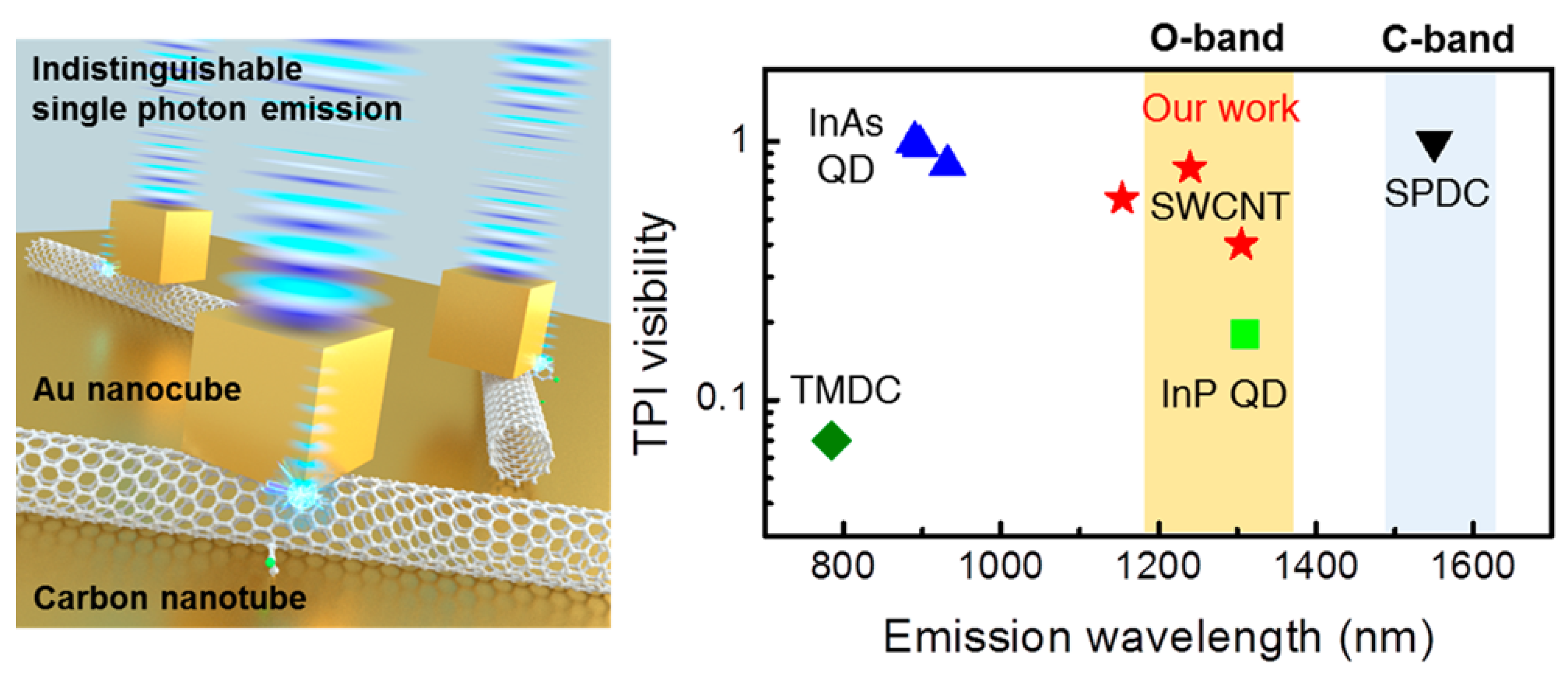 Quantumrep 03 00039 g012