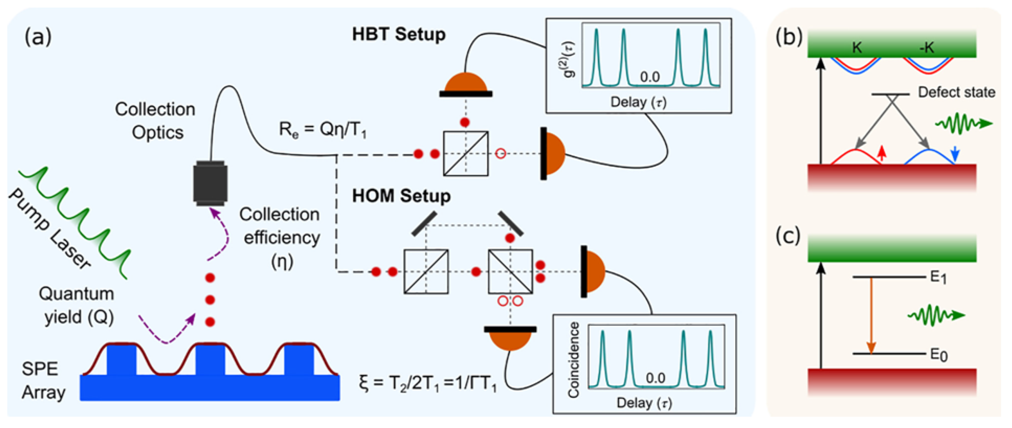Quantumrep 03 00039 g013