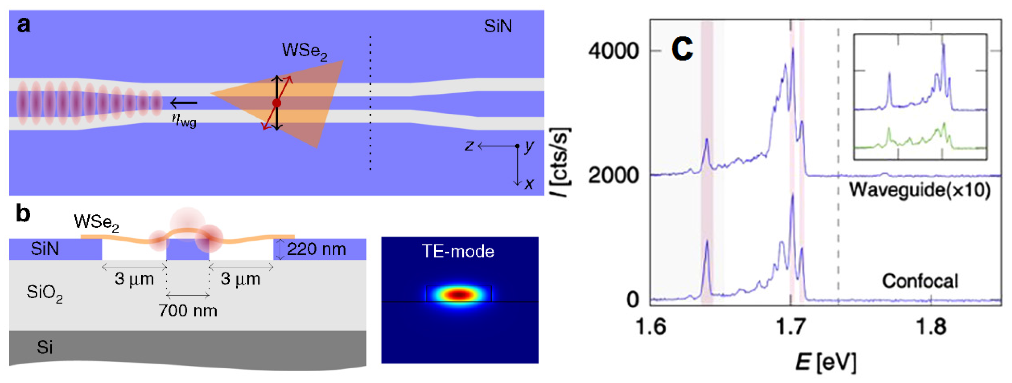 Quantumrep 03 00039 g014