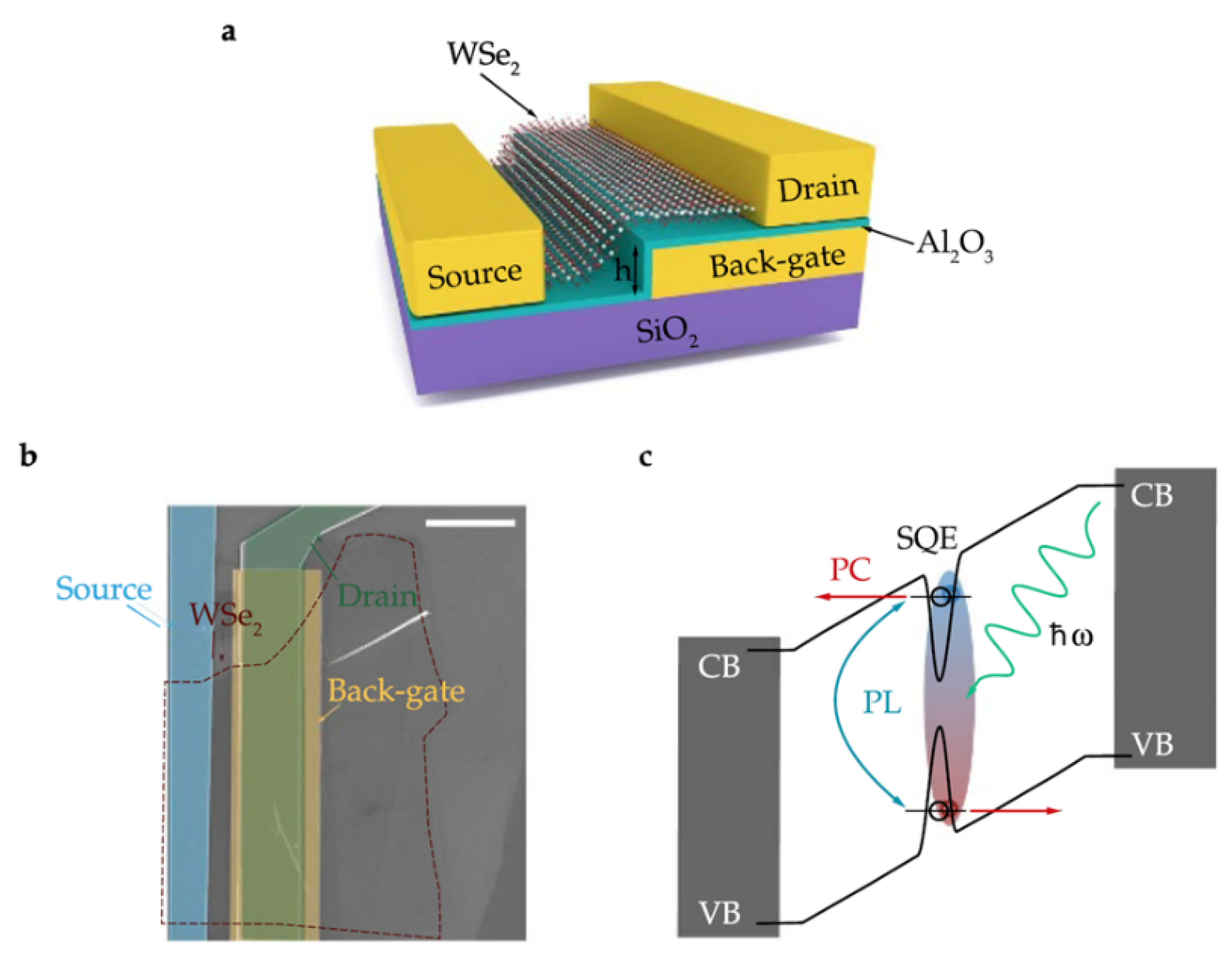 Quantumrep 03 00039 g015