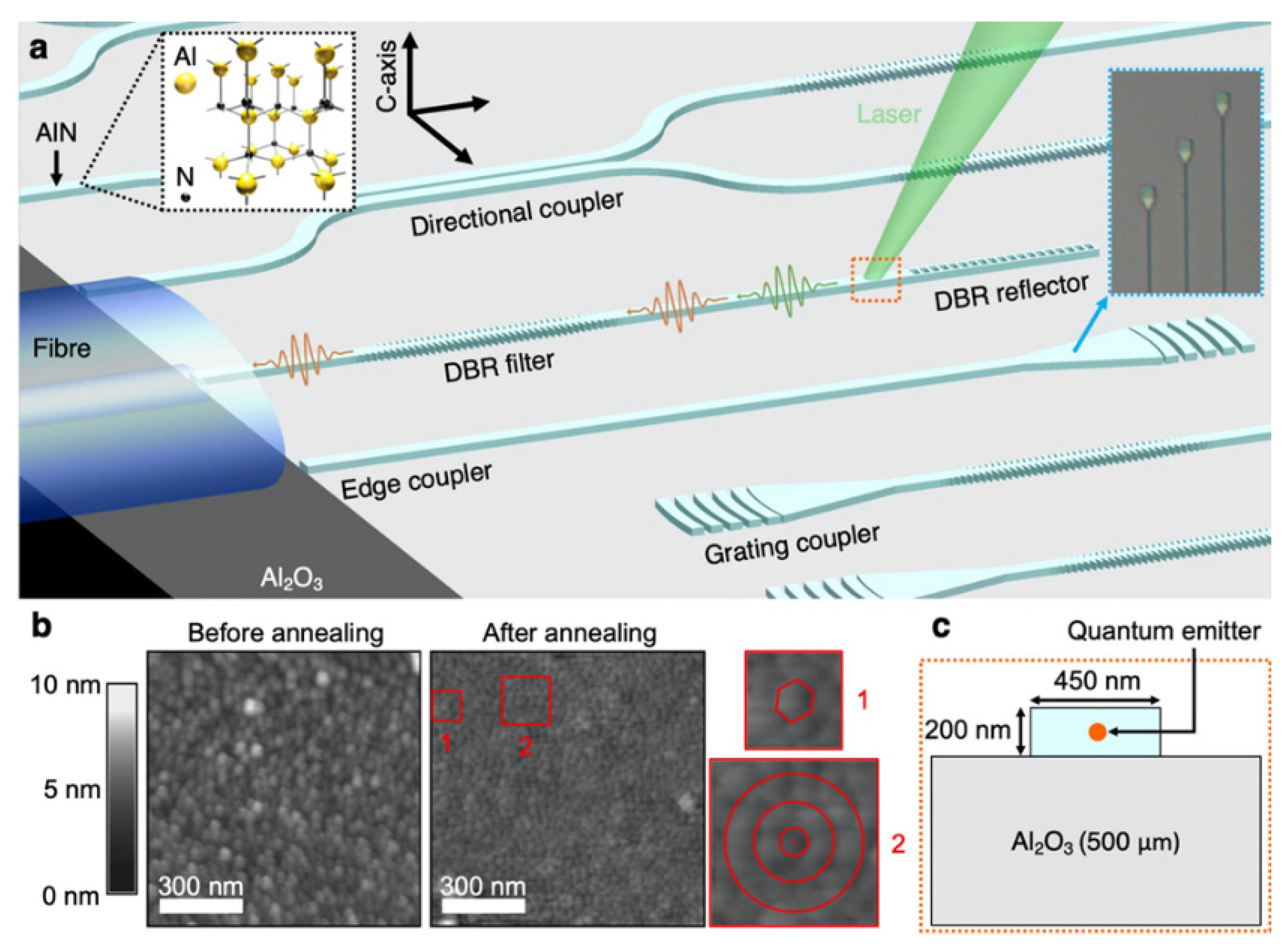 Quantumrep 03 00039 g016