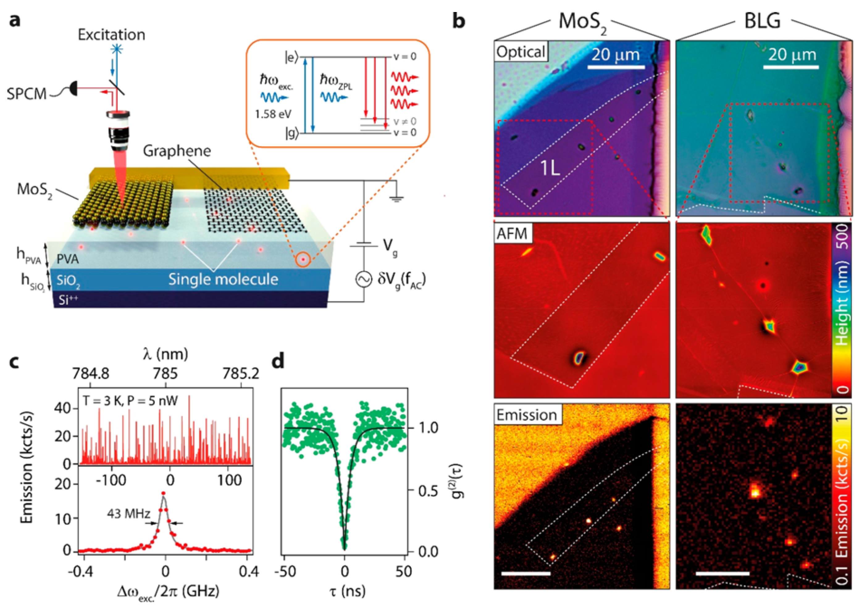 Quantumrep 03 00039 g017
