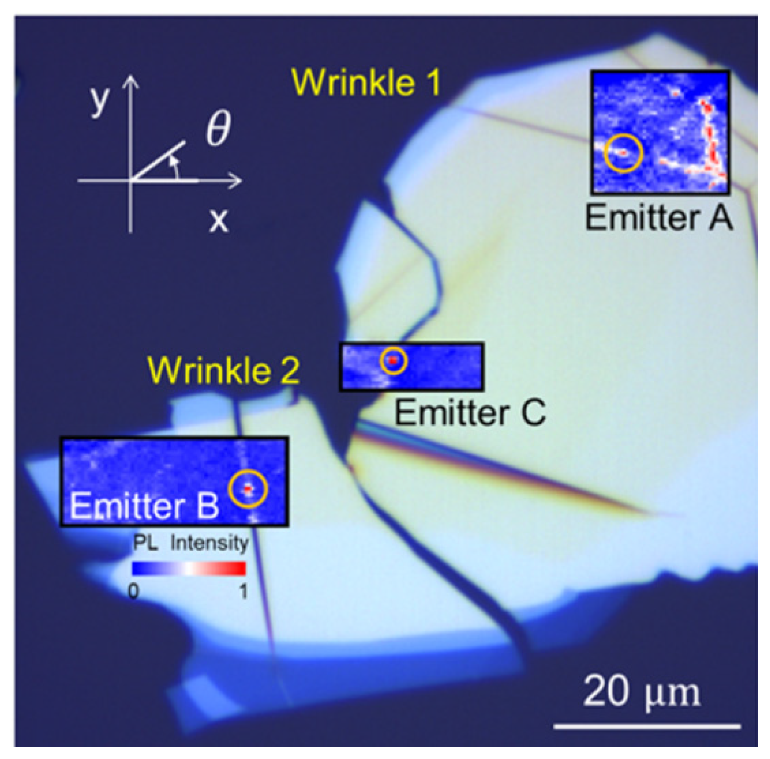Quantumrep 03 00039 g018