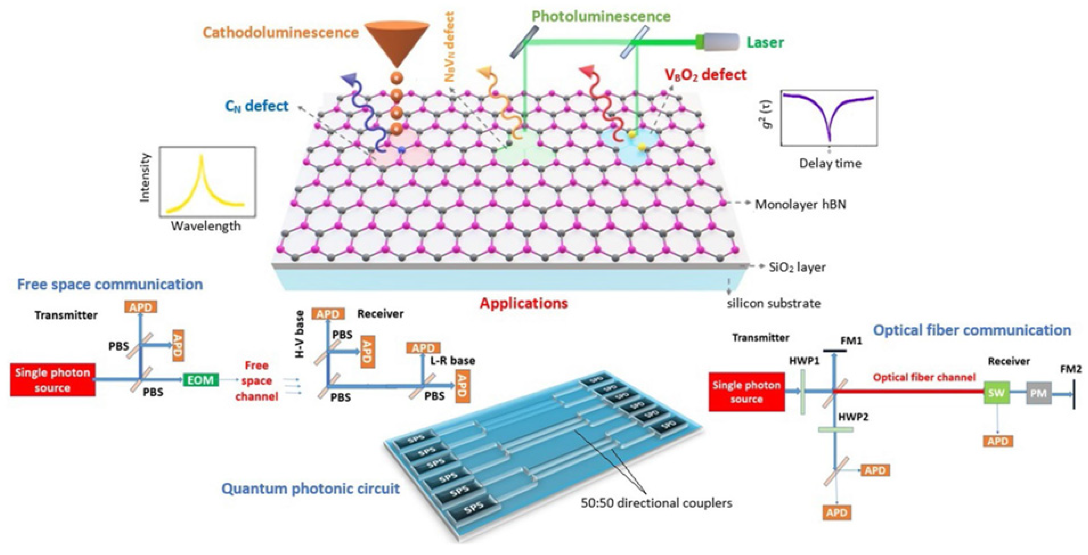 Quantumrep 03 00039 g019