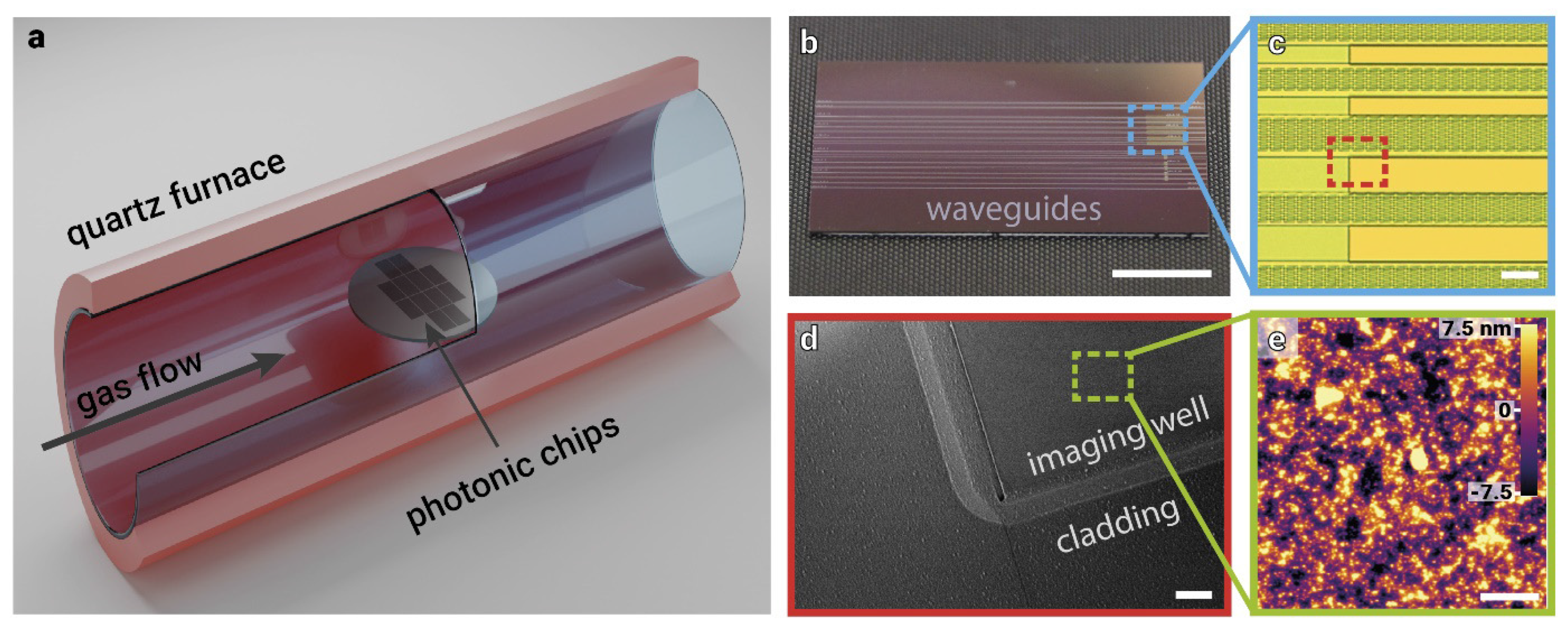 Quantumrep 03 00039 g022