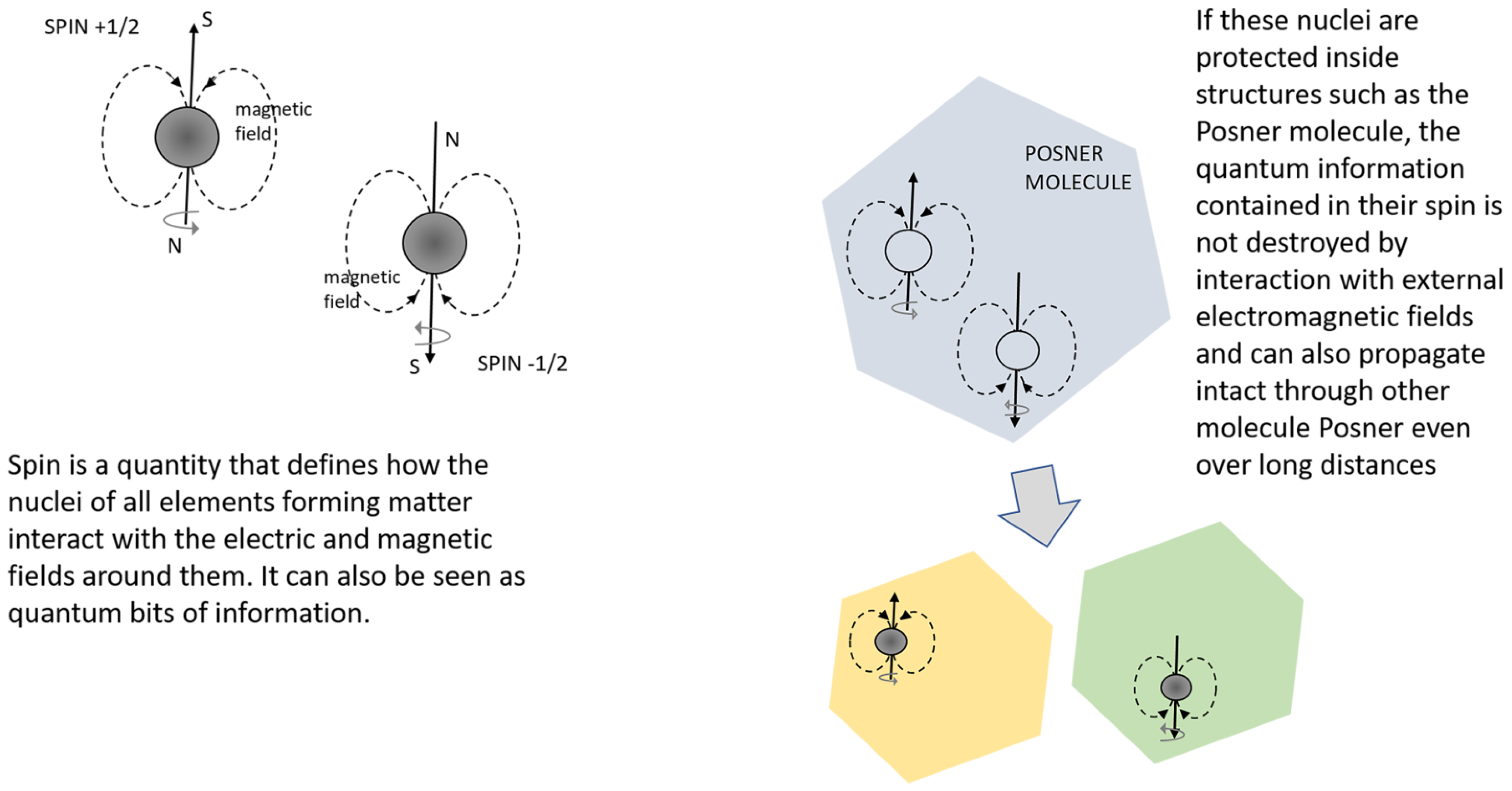 Quantumrep 04 00011 g003