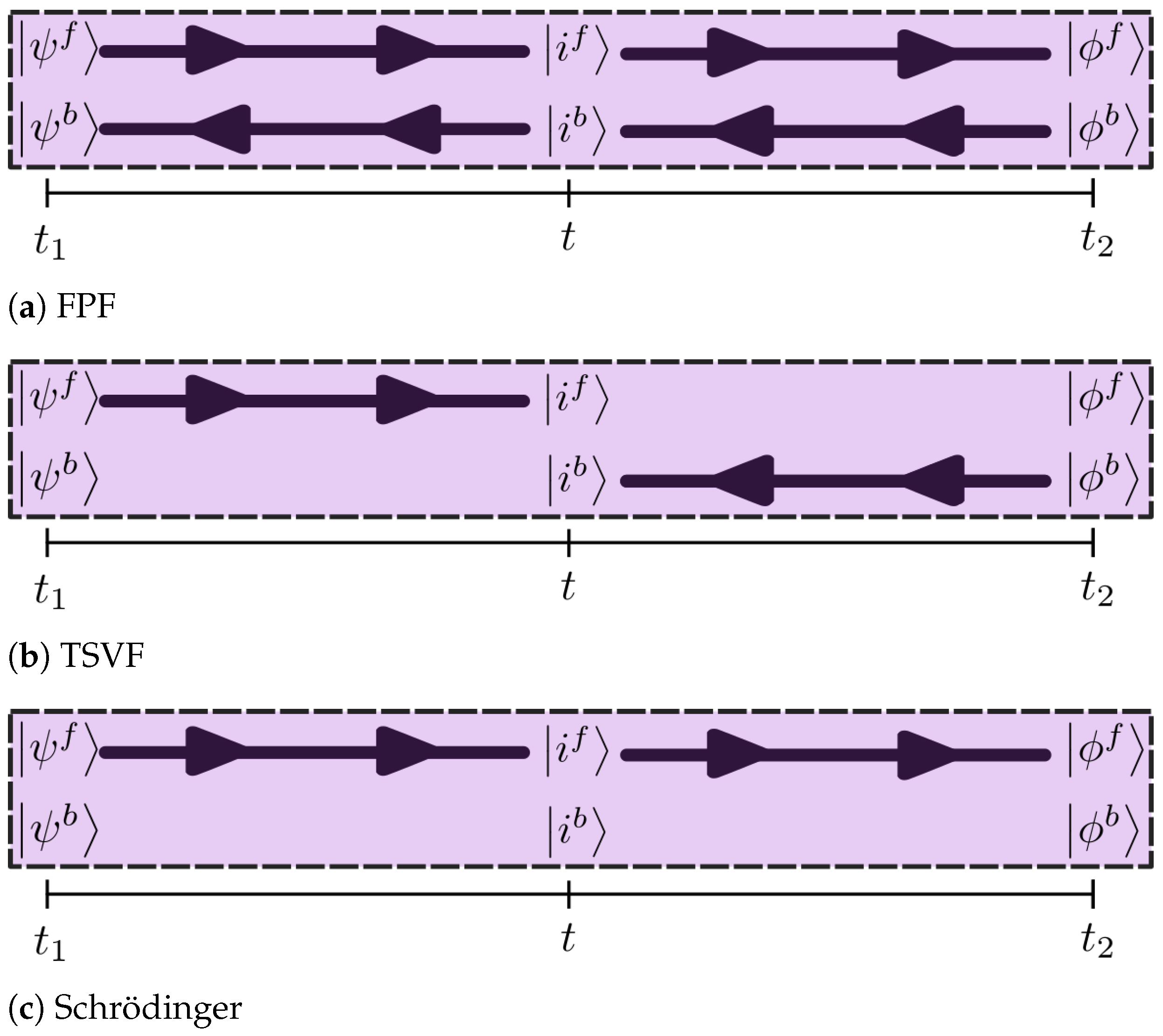 Quantumrep 05 00033 g005