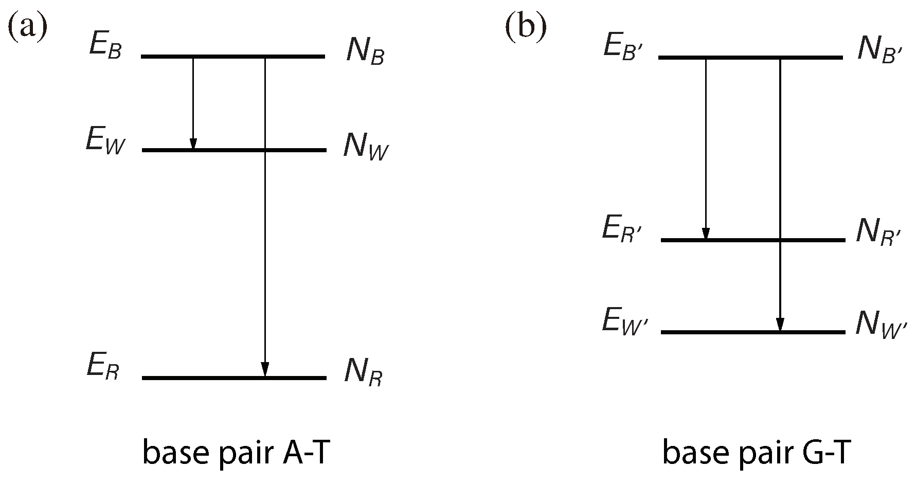 Quantumrep 05 00037 g002