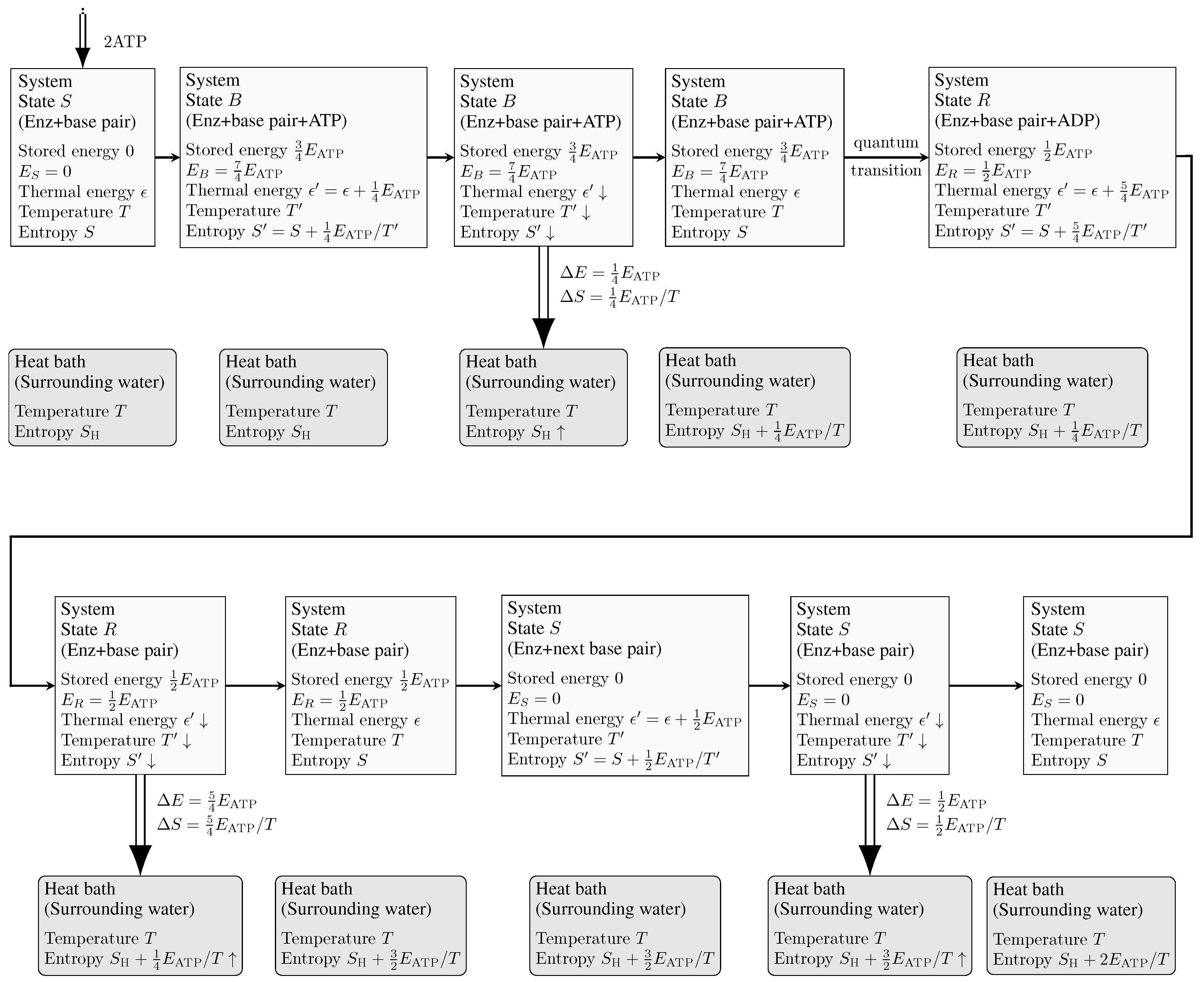 Quantumrep 05 00037 g003