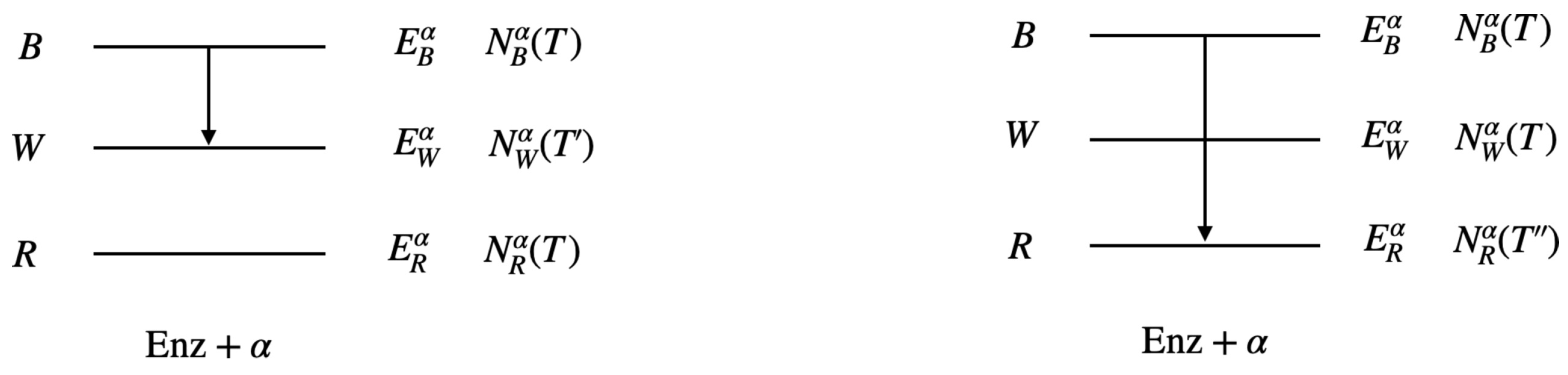 Quantumrep 05 00037 g007