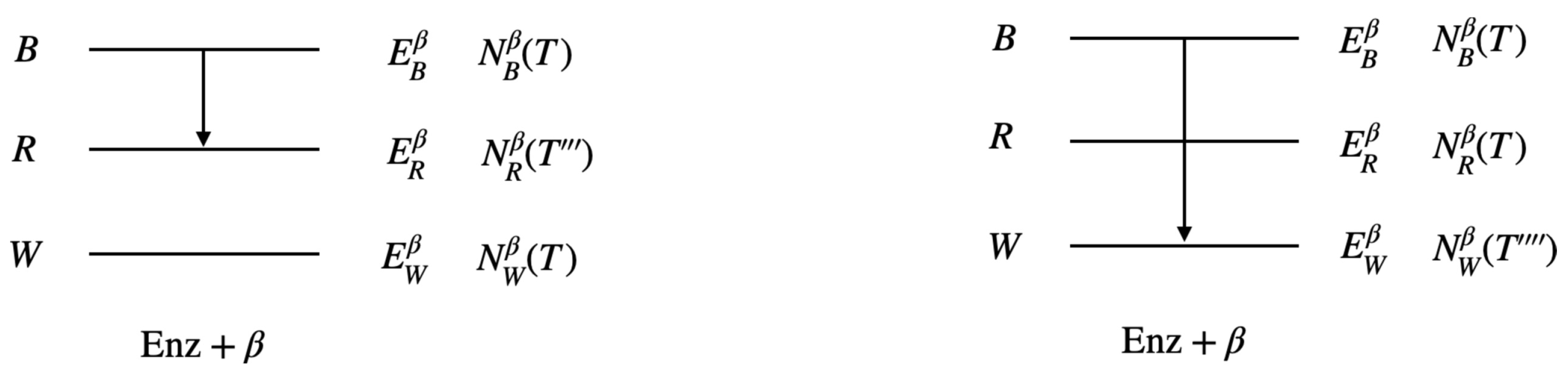 Quantumrep 05 00037 g008