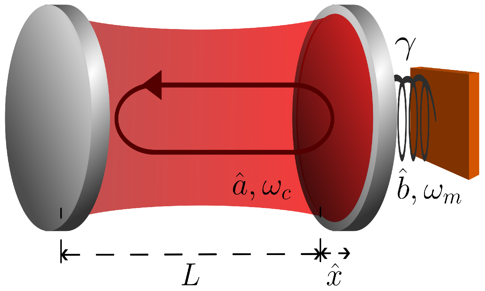 Quantumrep 07 00015 g001