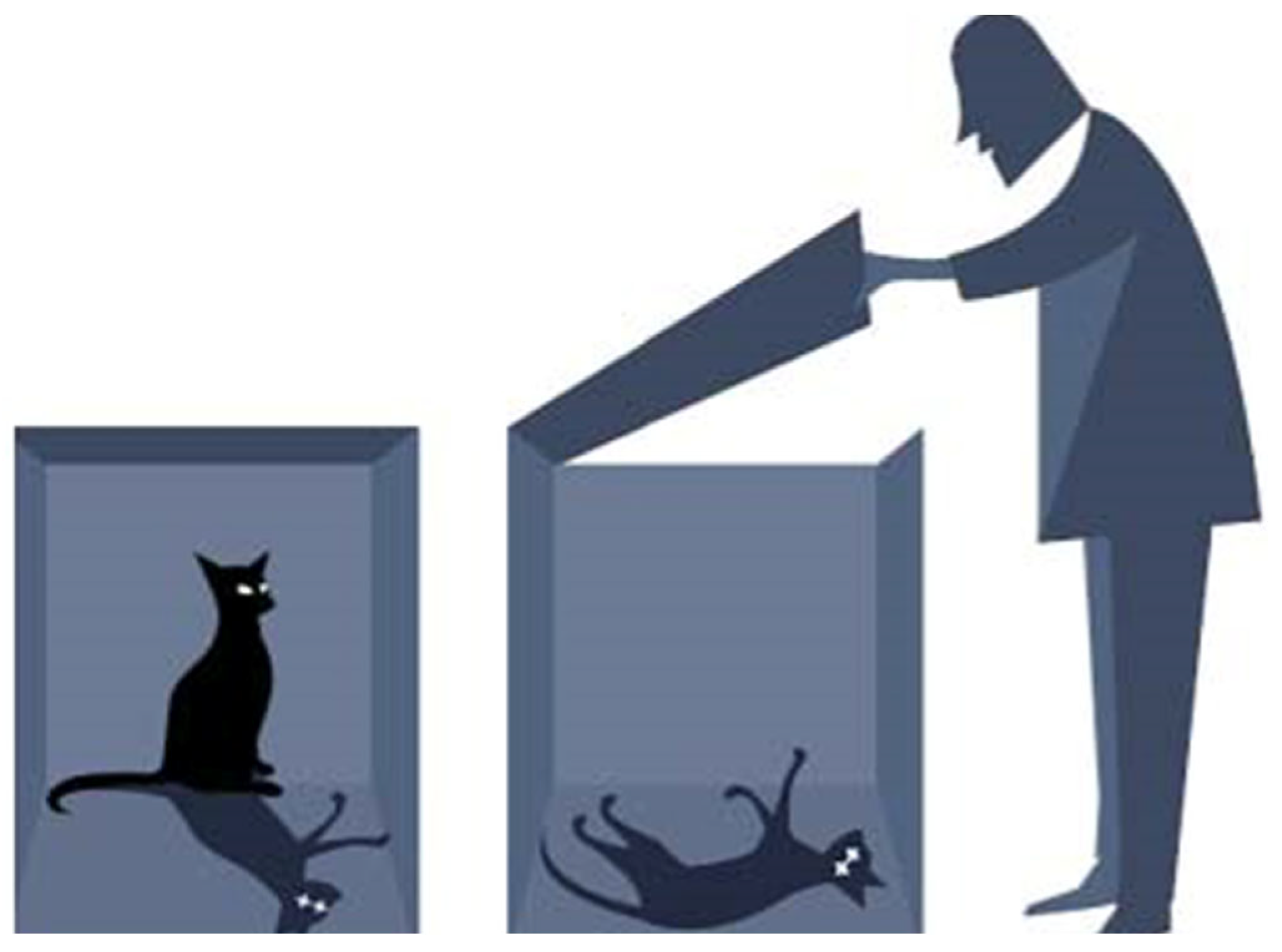 Quantumrep 07 00028 g001