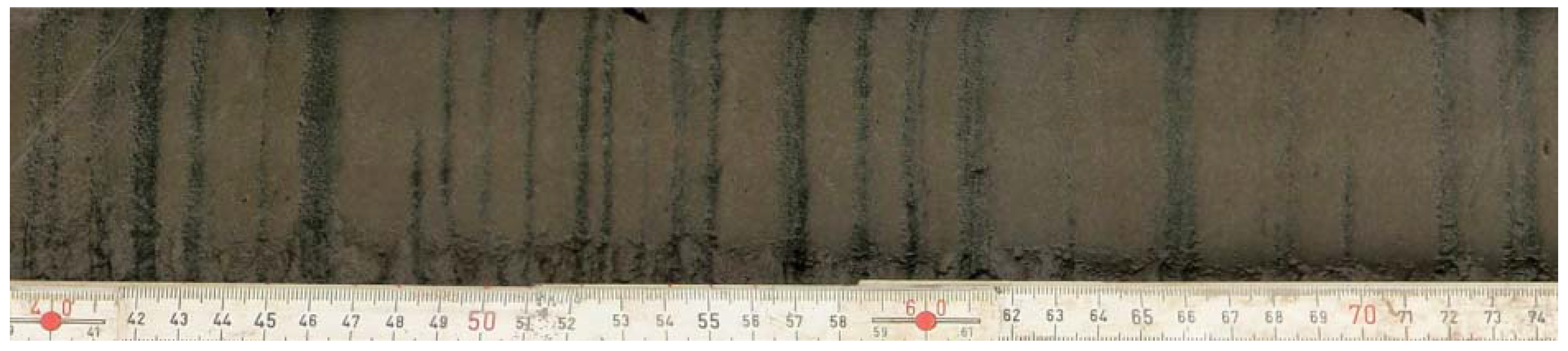 Quaternary 01 00002 g004