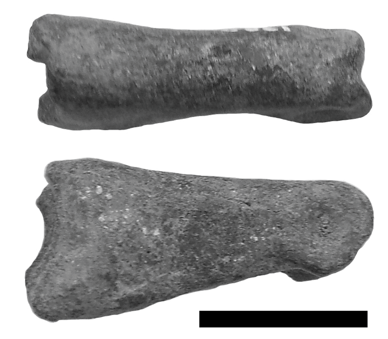 Quaternary 01 00004 g004