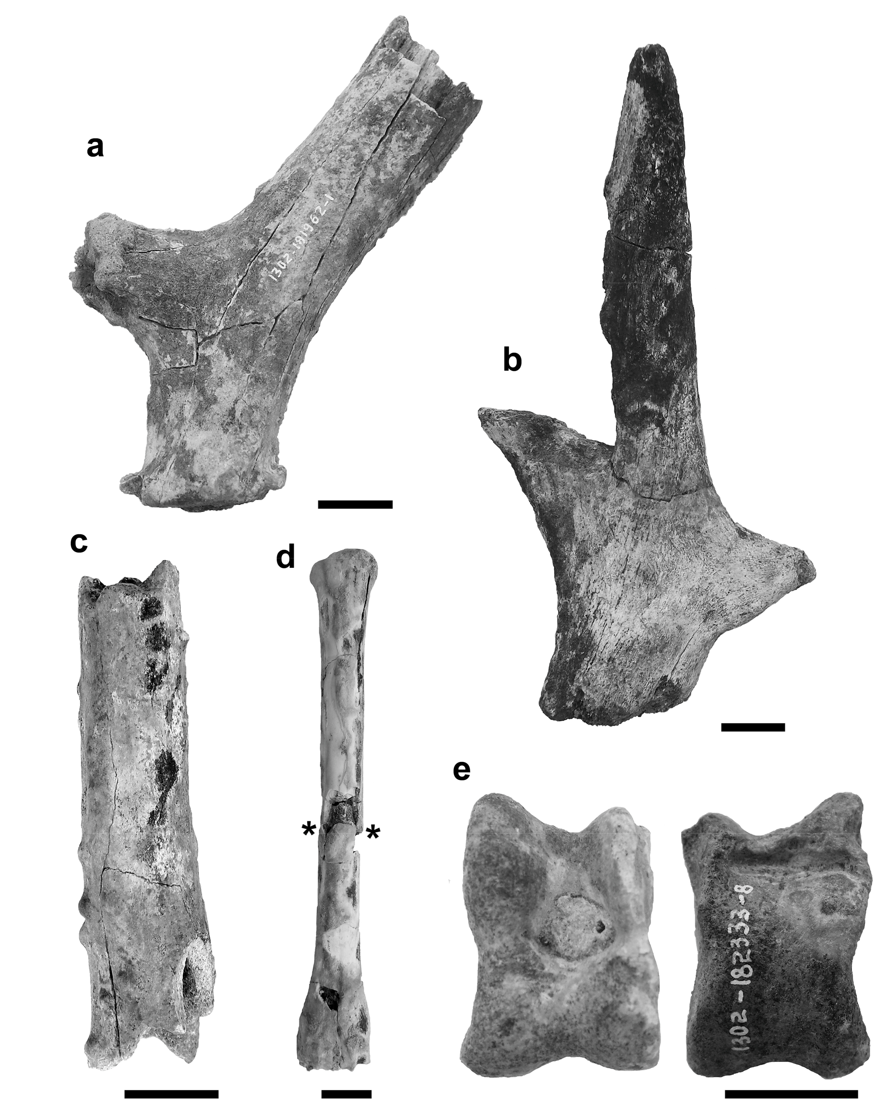 Quaternary 01 00004 g005