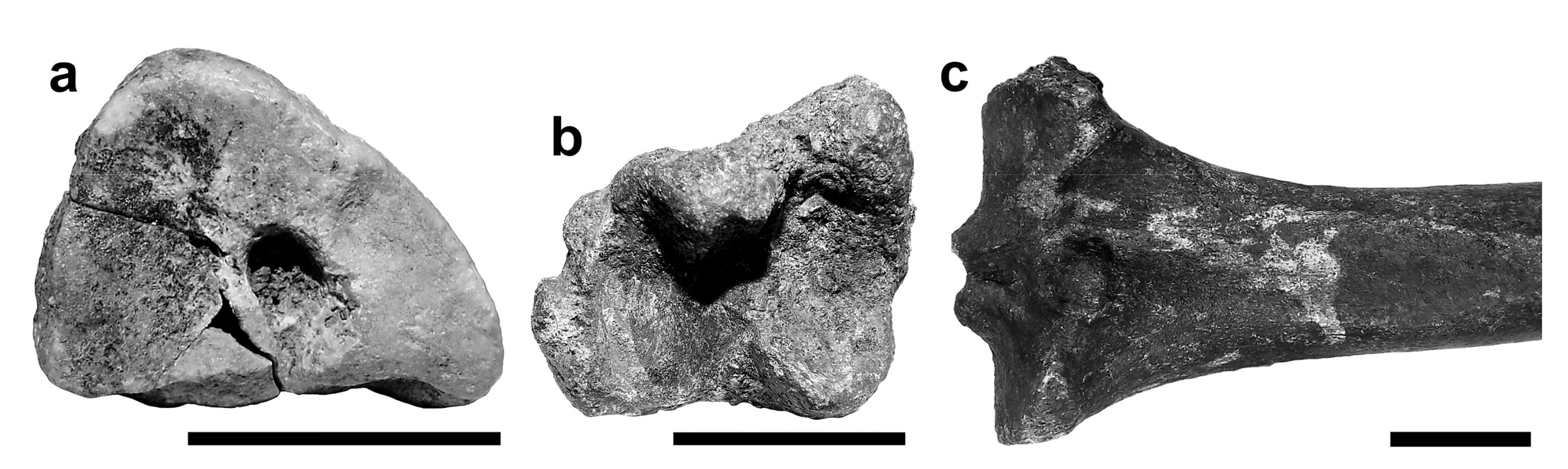 Quaternary 01 00004 g006