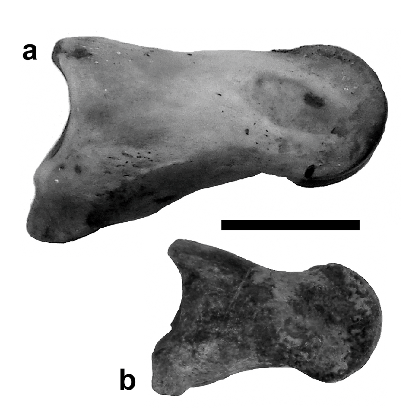Quaternary 01 00004 g009