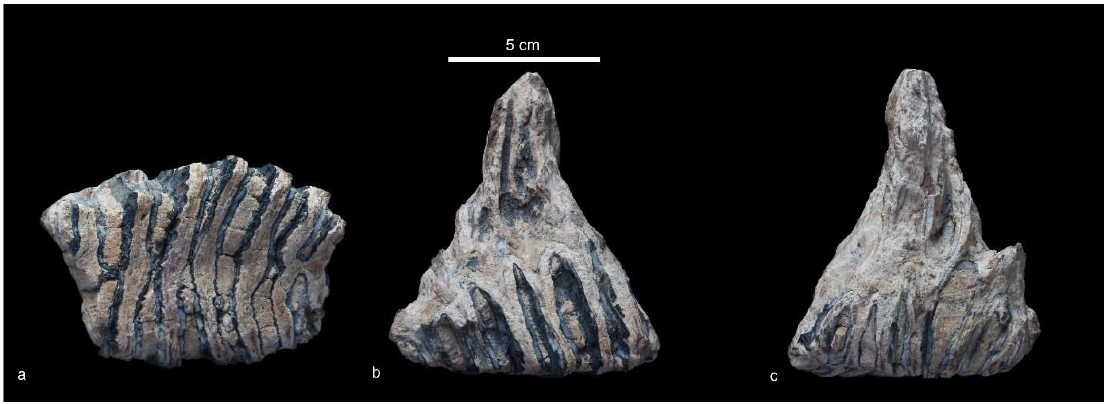 Quaternary 01 00011 g003