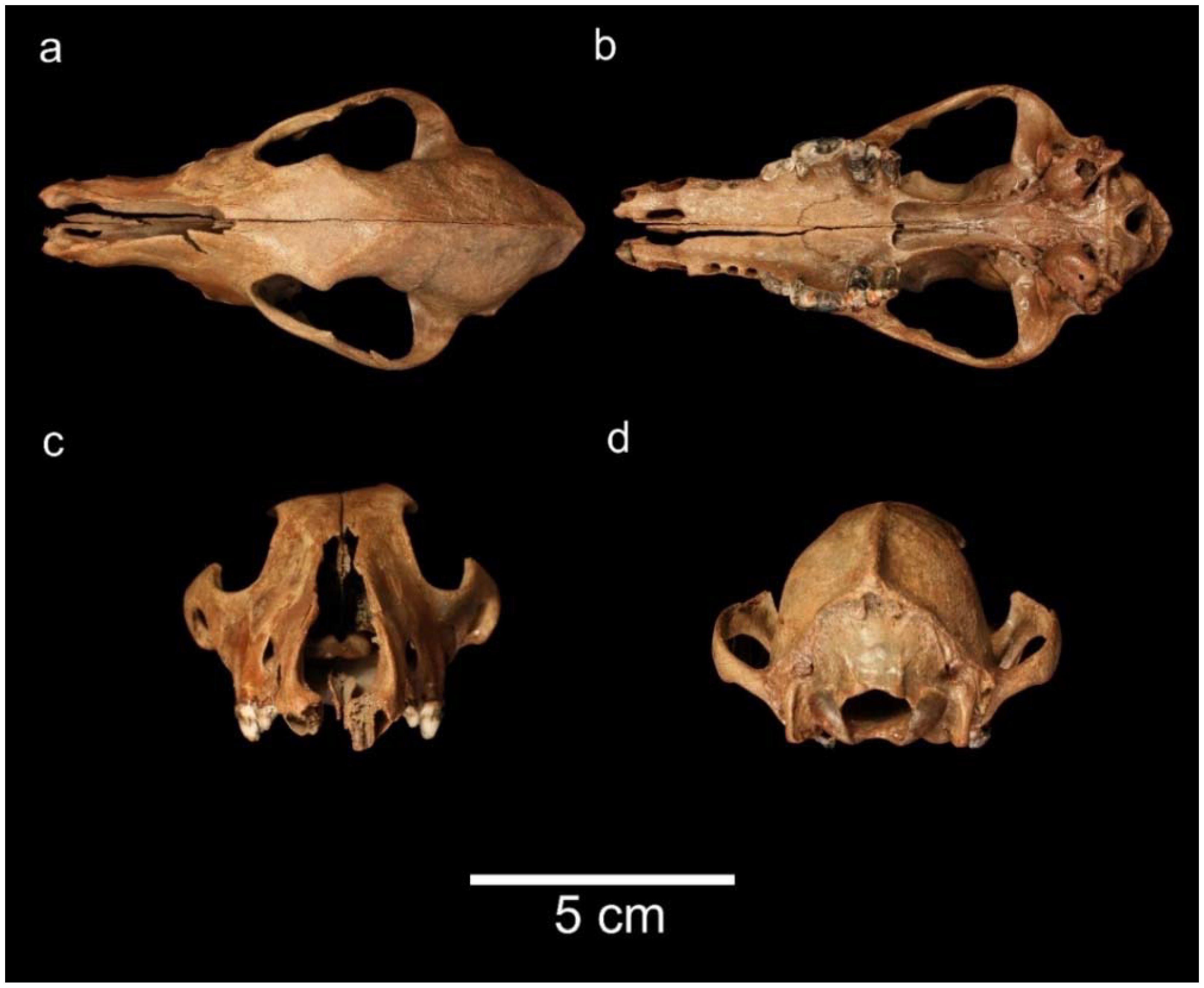 Quaternary 01 00011 g004