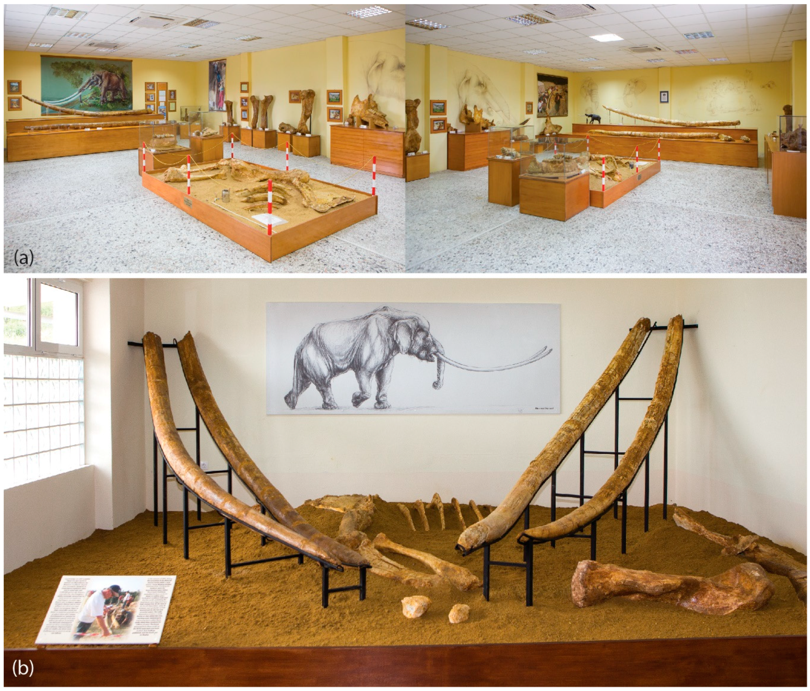 Quaternary 01 00013 g002