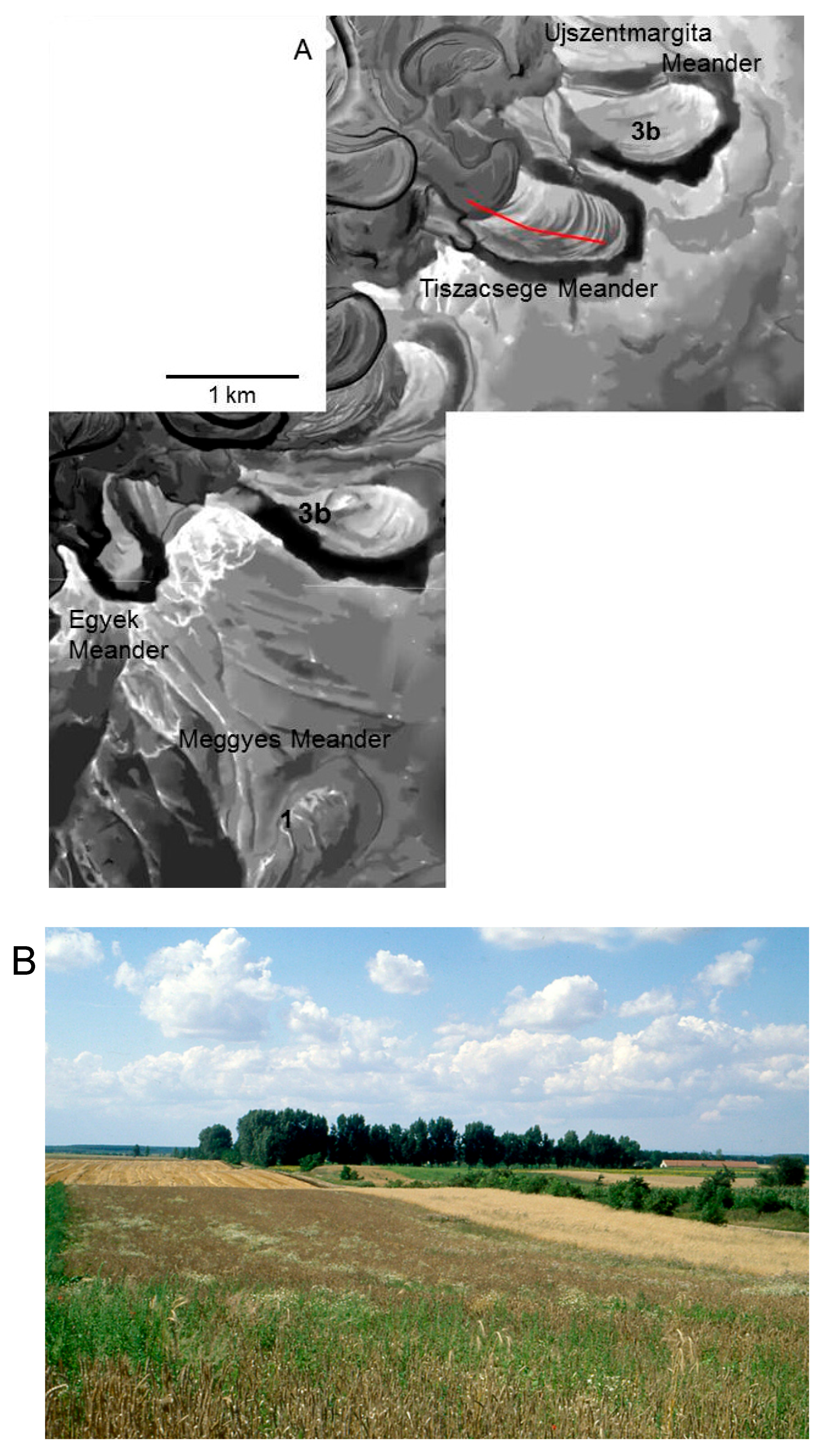 Quaternary 01 00014 g003 Quaternary 01 00014 g003