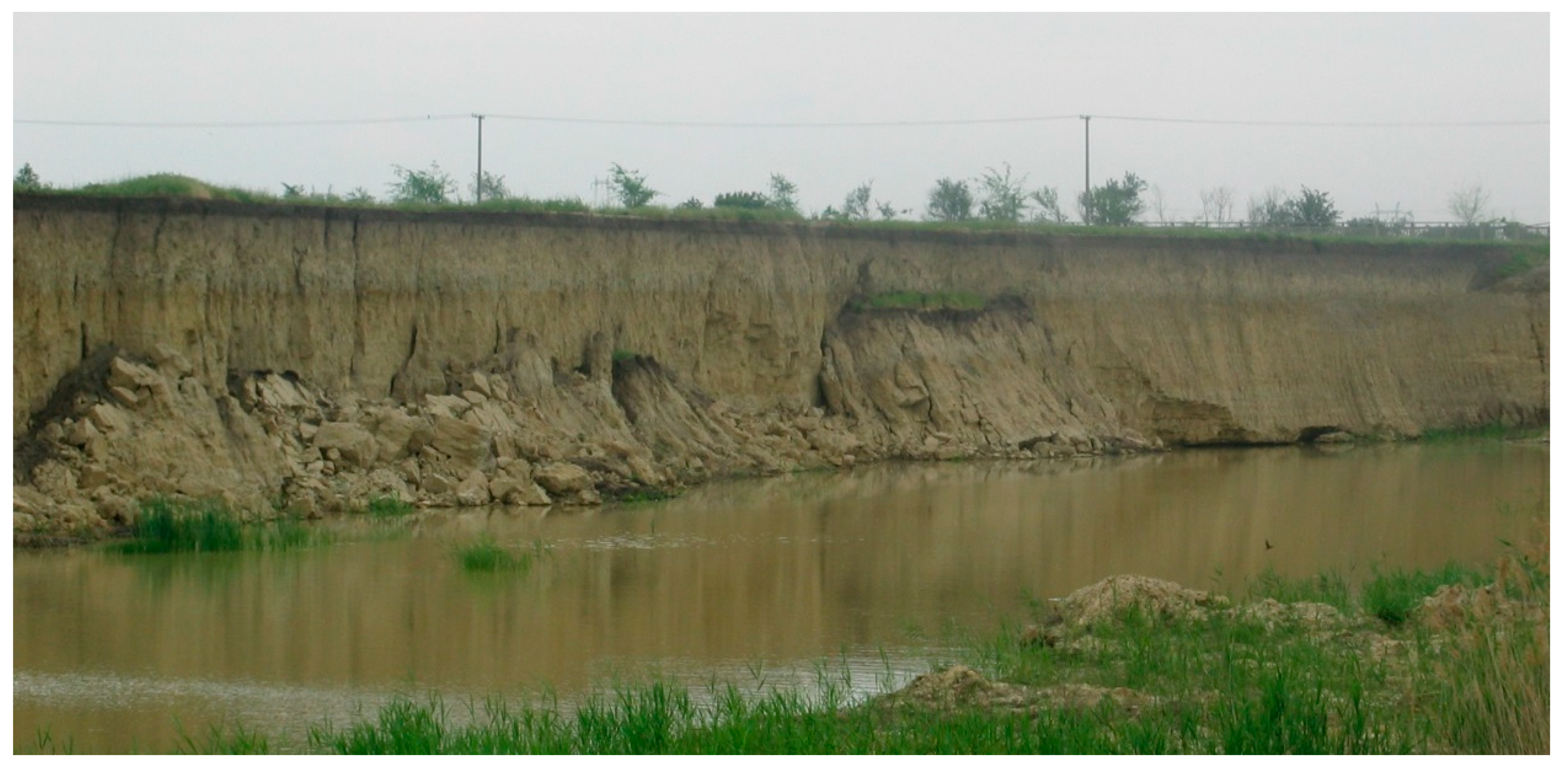 Quaternary 01 00014 g006a Quaternary 01 00014 g006a