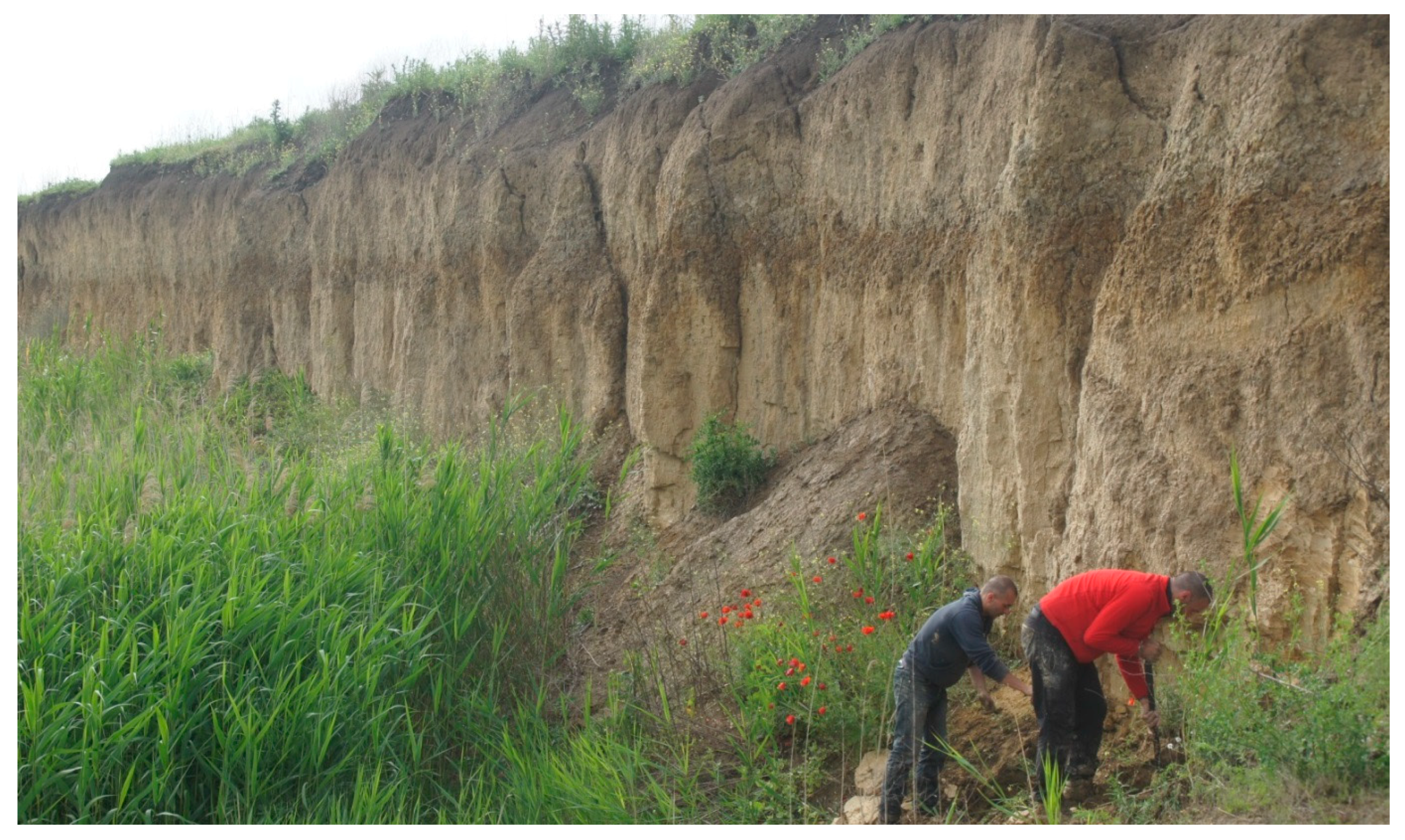 Quaternary 01 00014 g006b Quaternary 01 00014 g006b